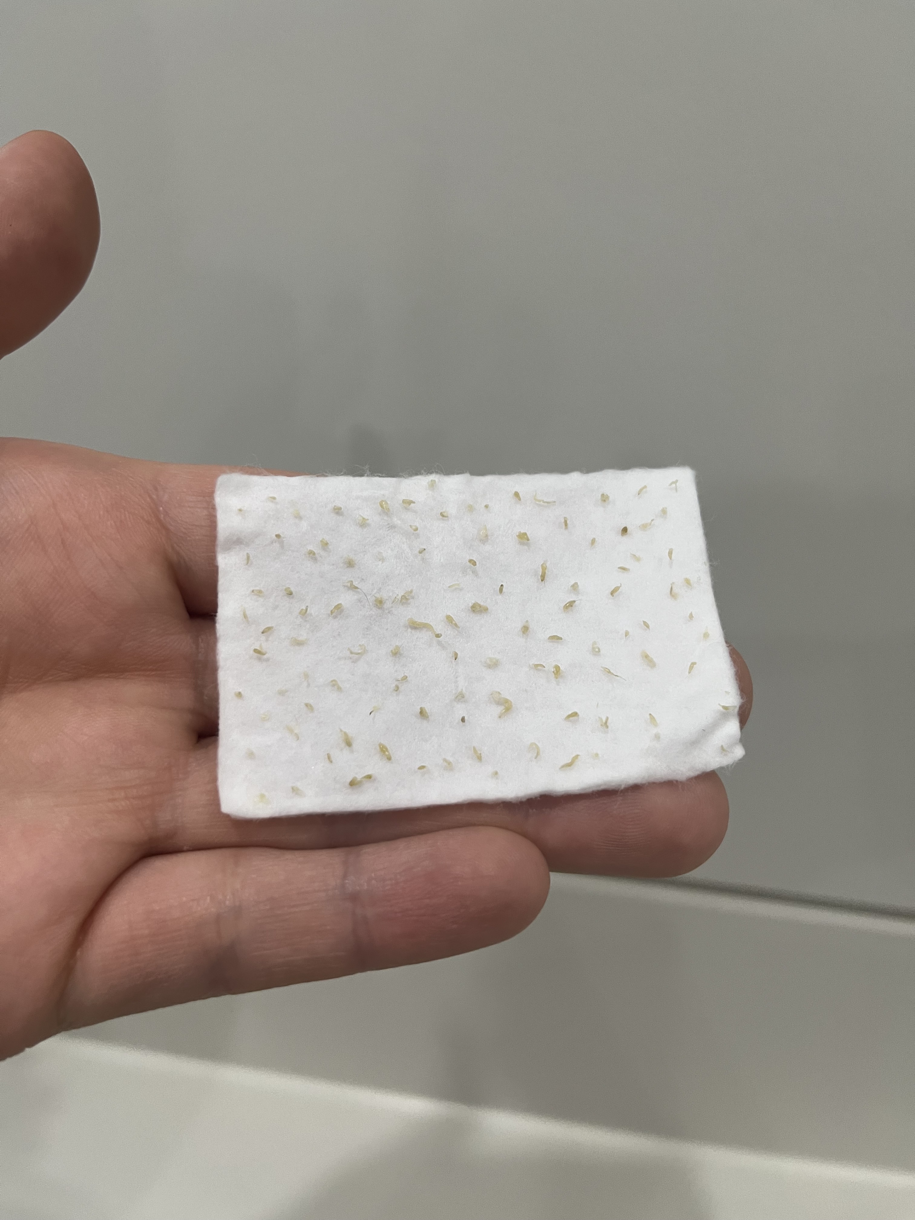 로비엘에스테틱 부천상동 대표 이미지