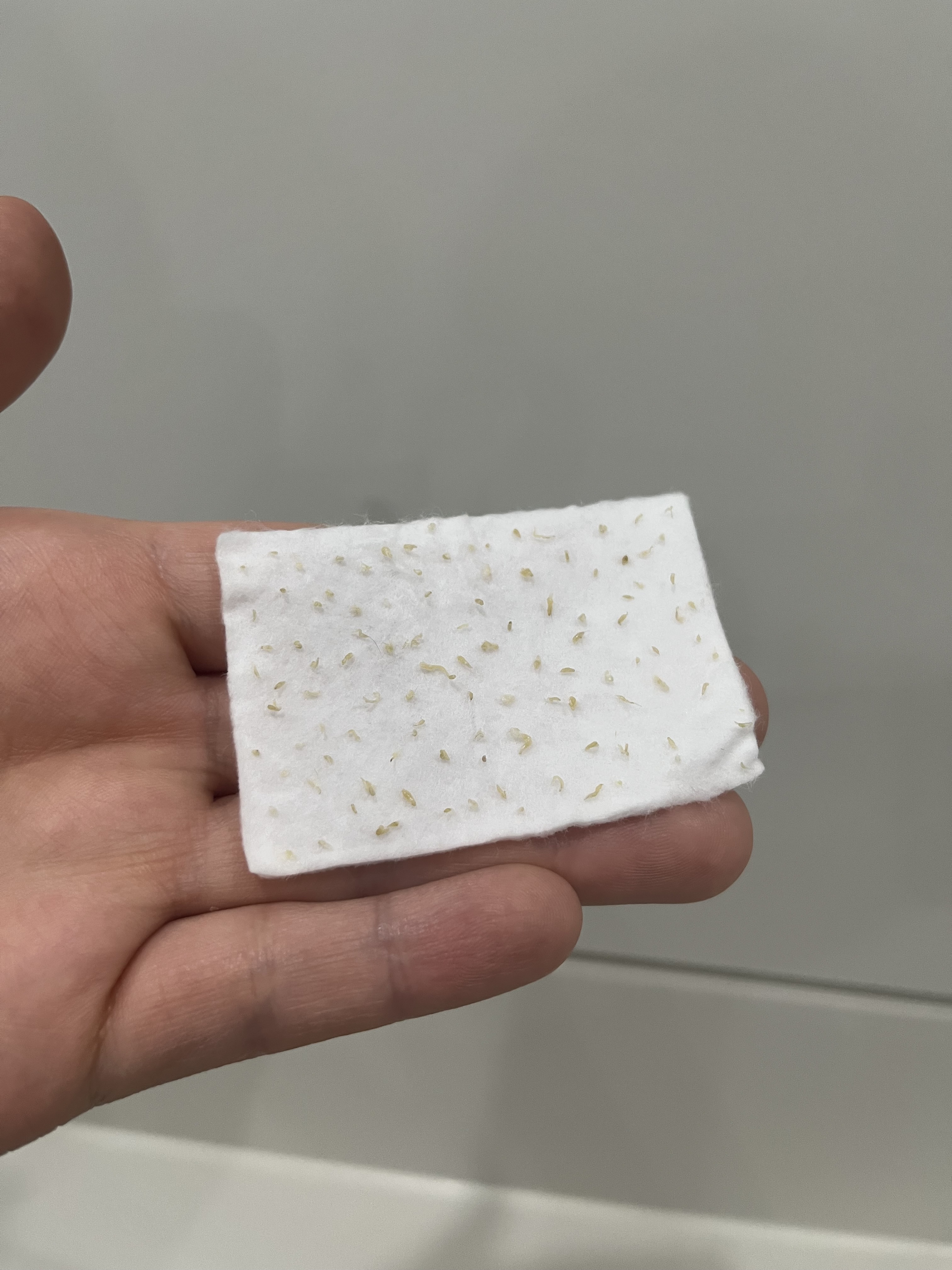 로비엘에스테틱 부천상동 대표 이미지