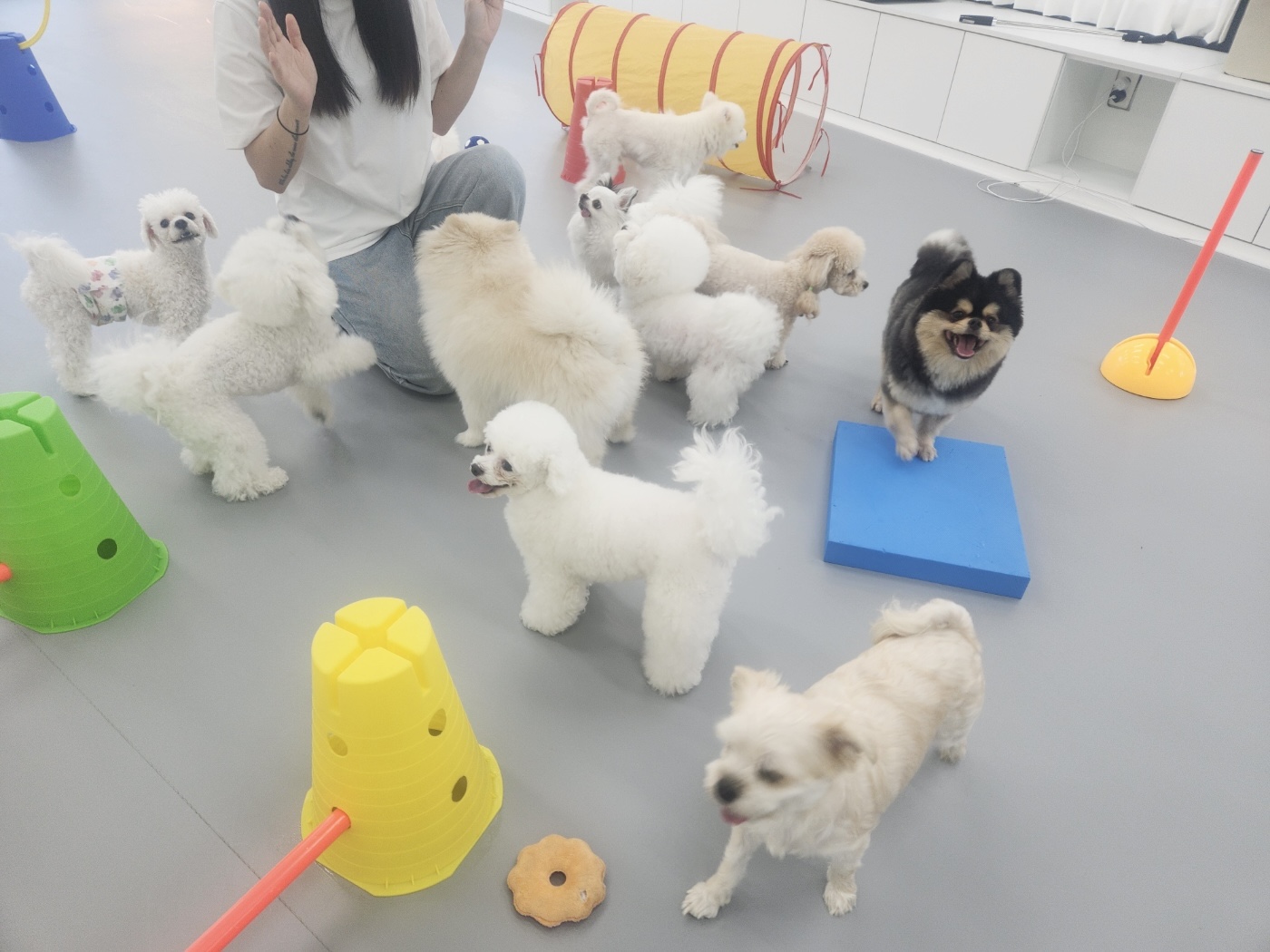멍라운지24 대표 이미지