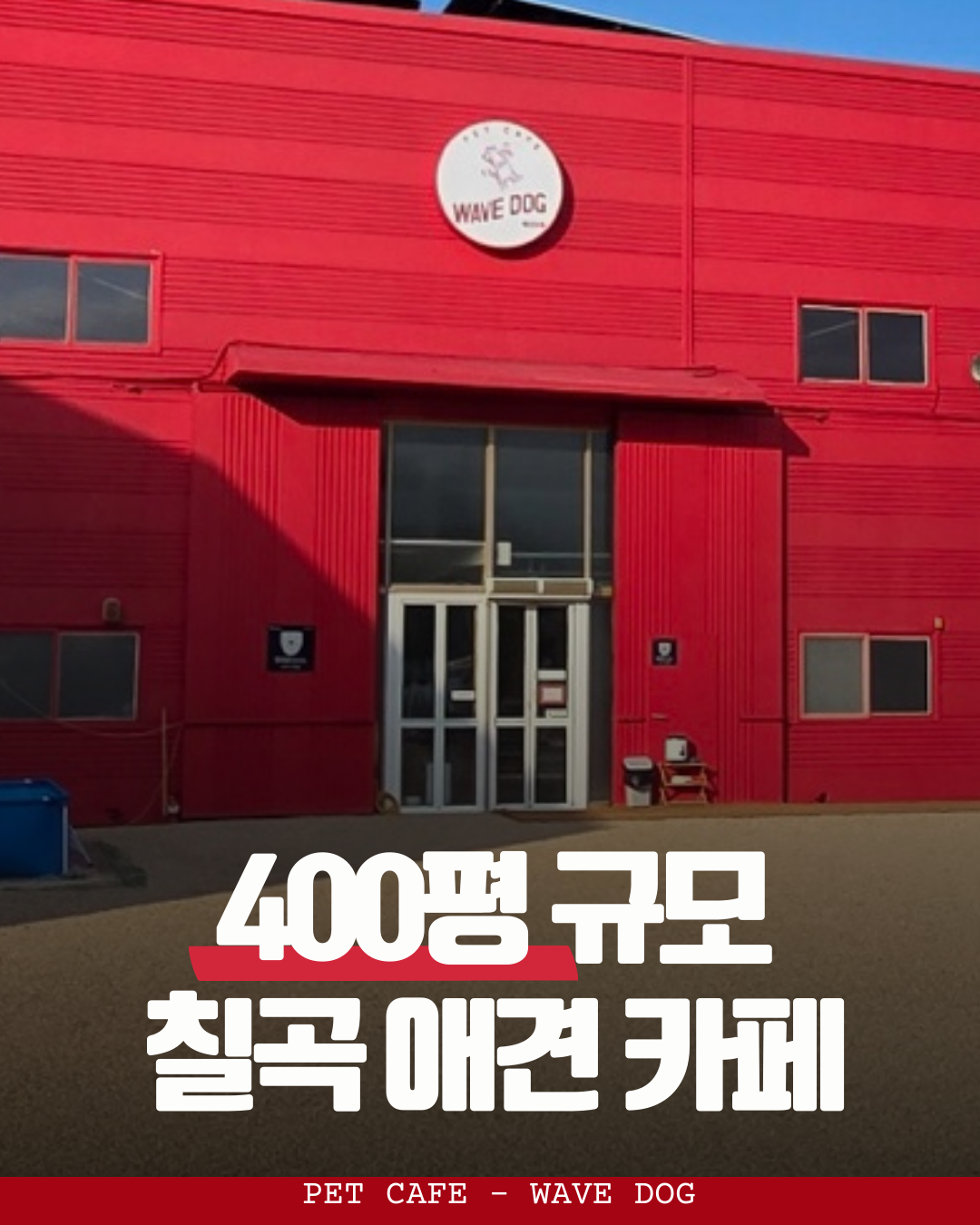 웨이브독 대표 이미지