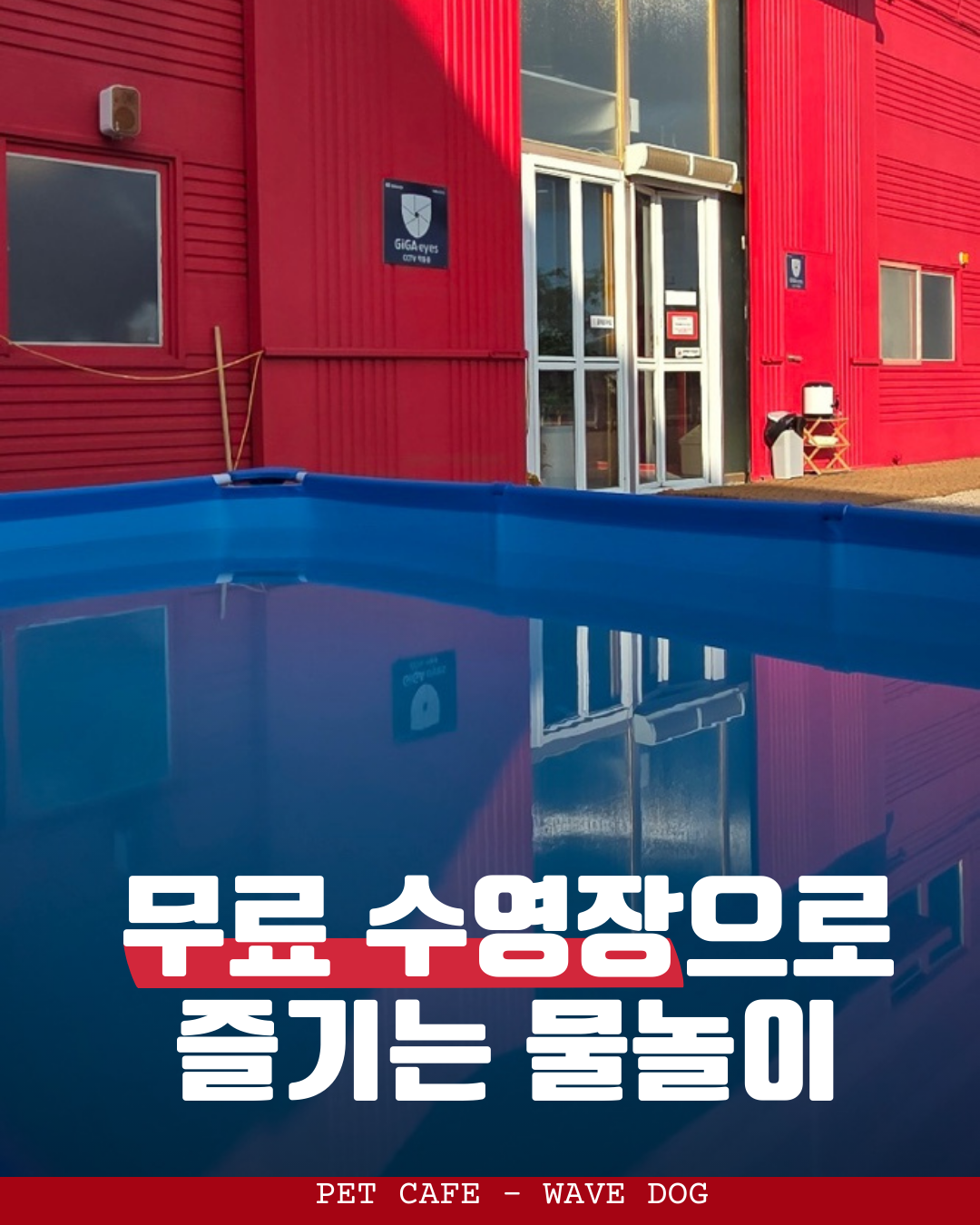 웨이브독 대표 이미지