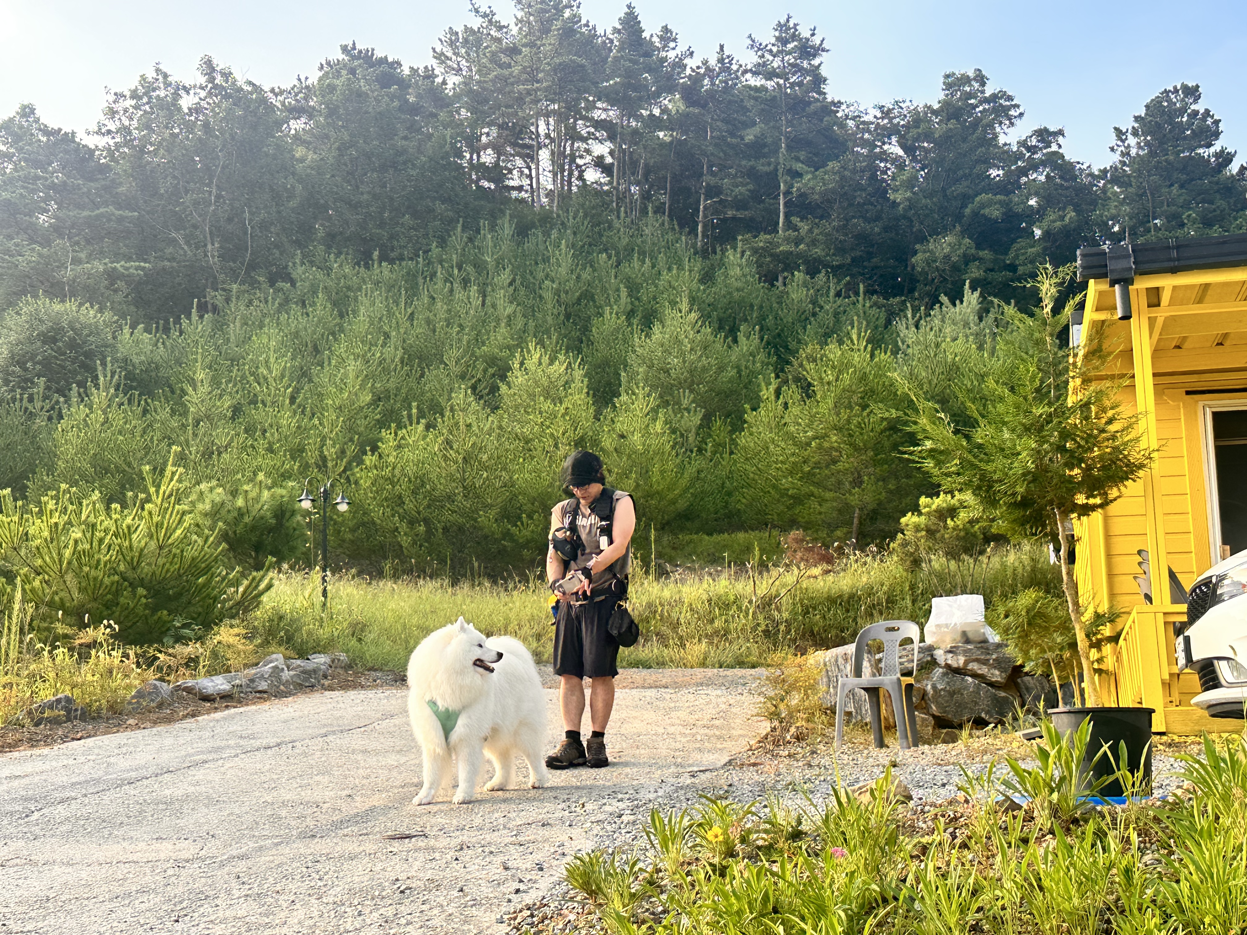 사진 3