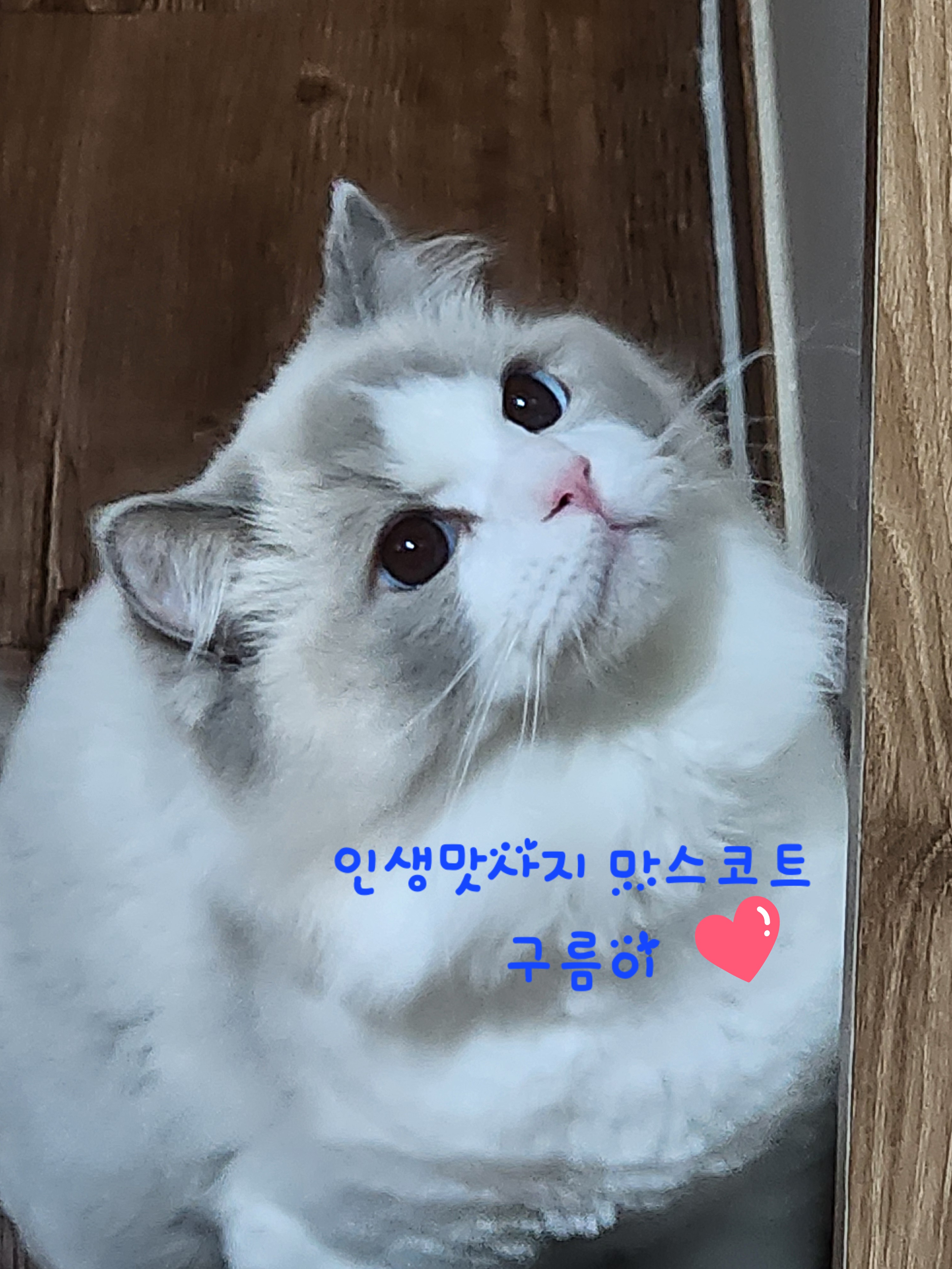 인생맛사지 photo 4