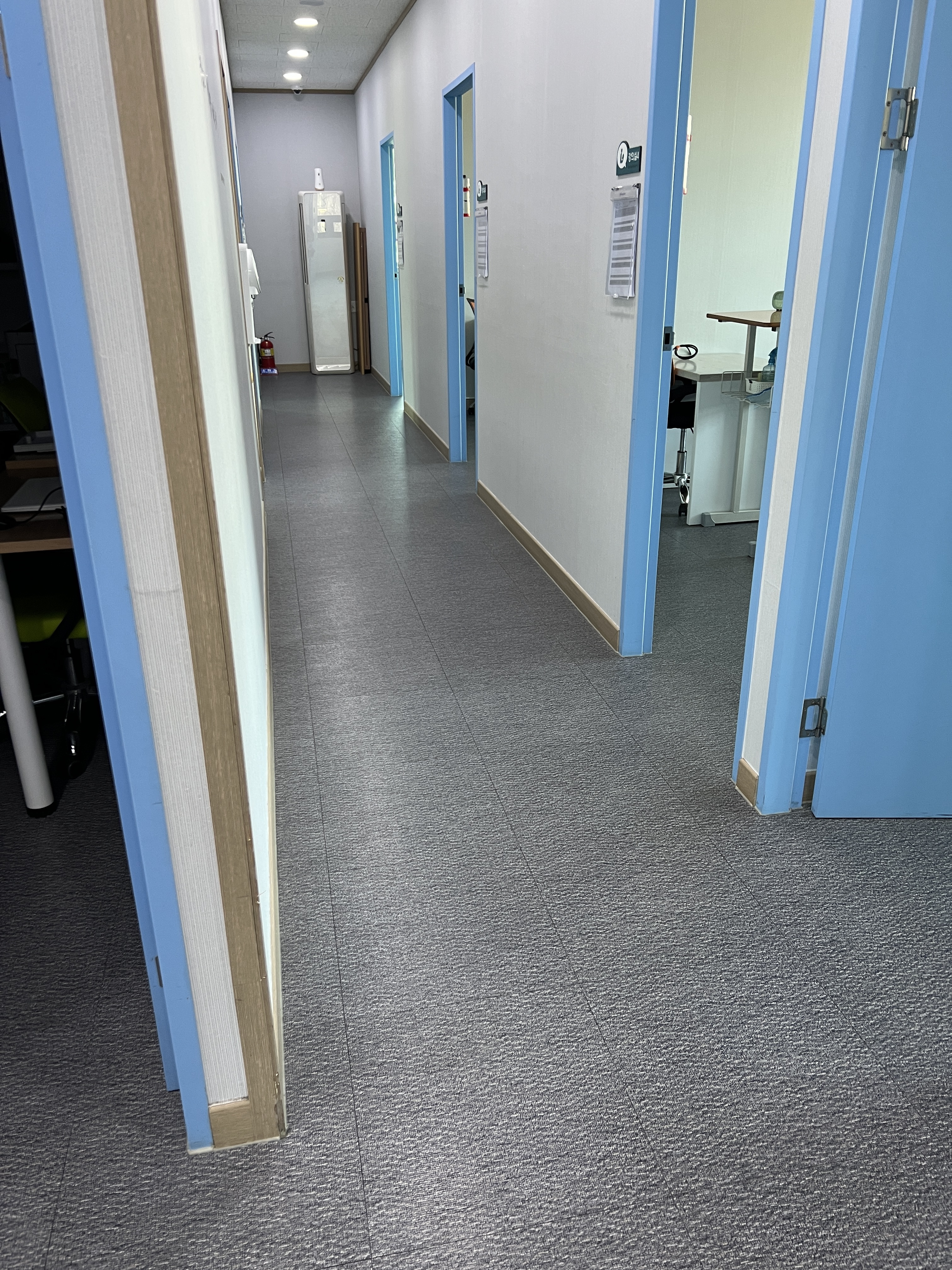 백의 대표 이미지