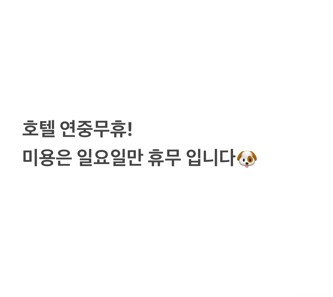 몽실몽실 대표 이미지