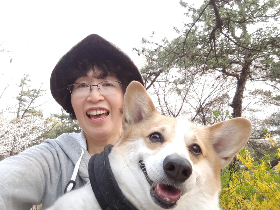 코리 스테이 대표 이미지