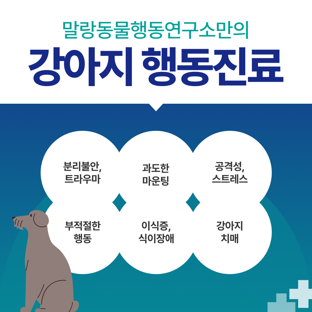 말랑동물행동연구소 대표 이미지
