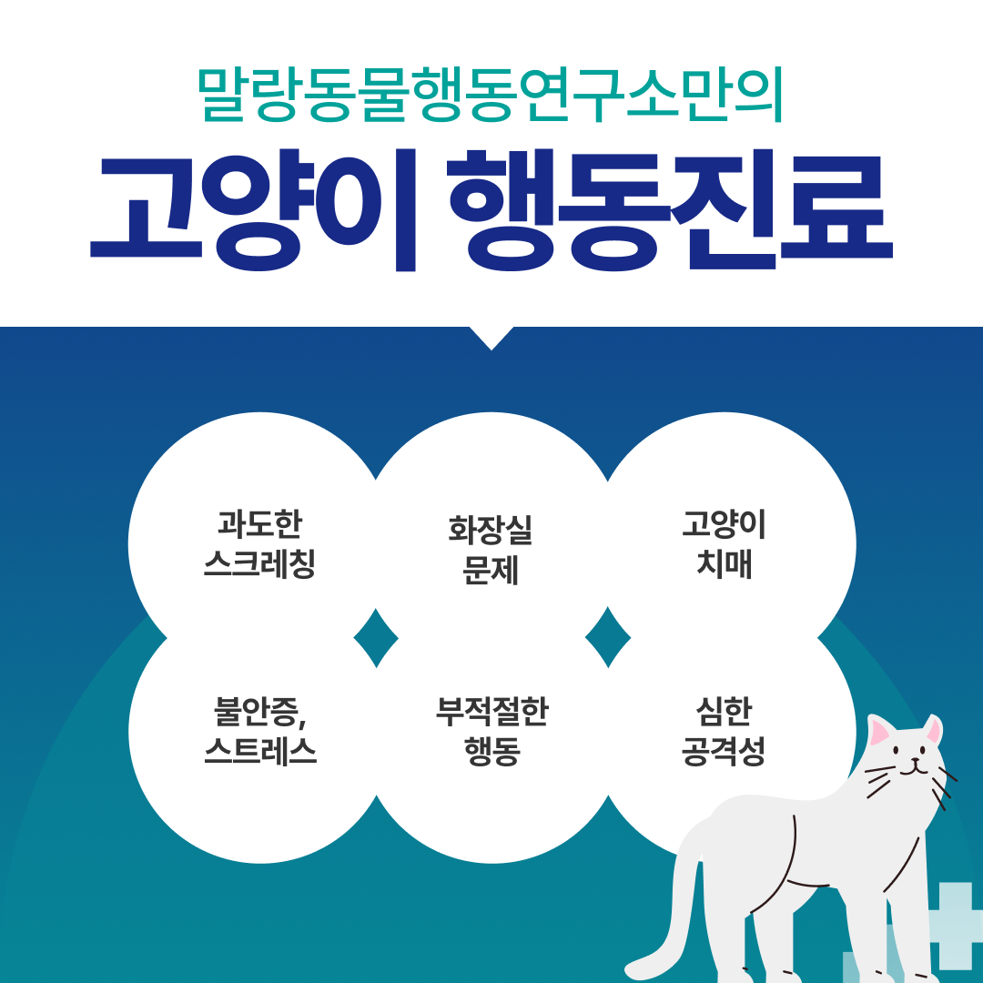 말랑동물행동연구소 대표 이미지