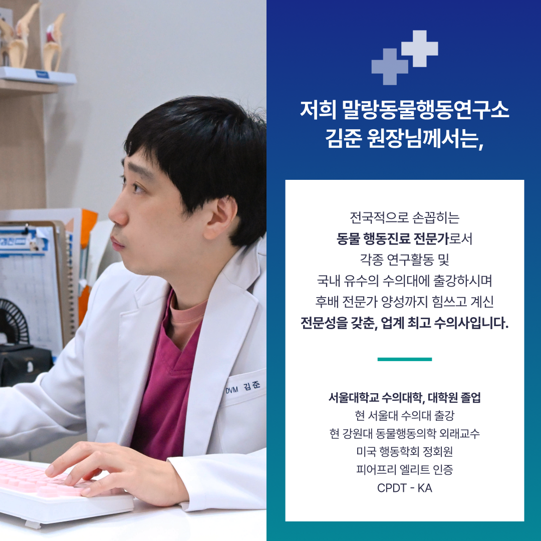 말랑동물행동연구소 대표 이미지