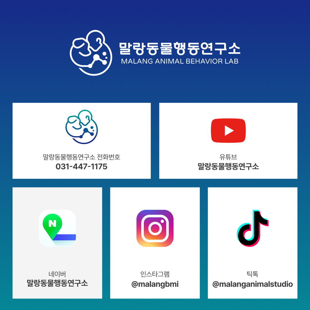 말랑동물행동연구소 대표 이미지