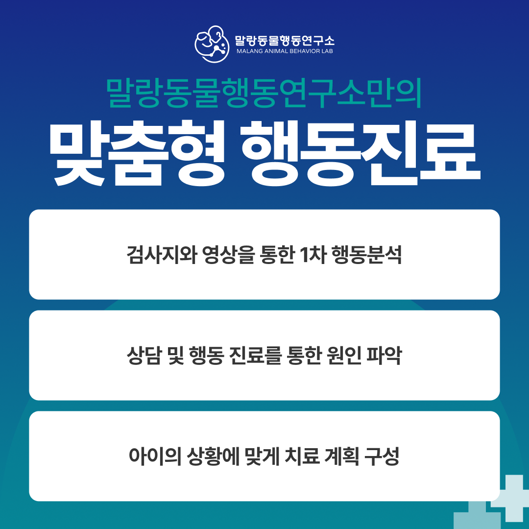 말랑동물행동연구소 대표 이미지
