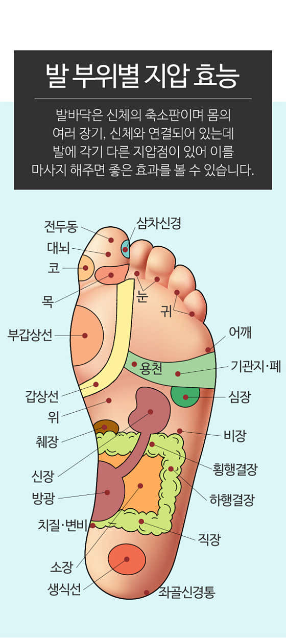 도봉약손 photo 3