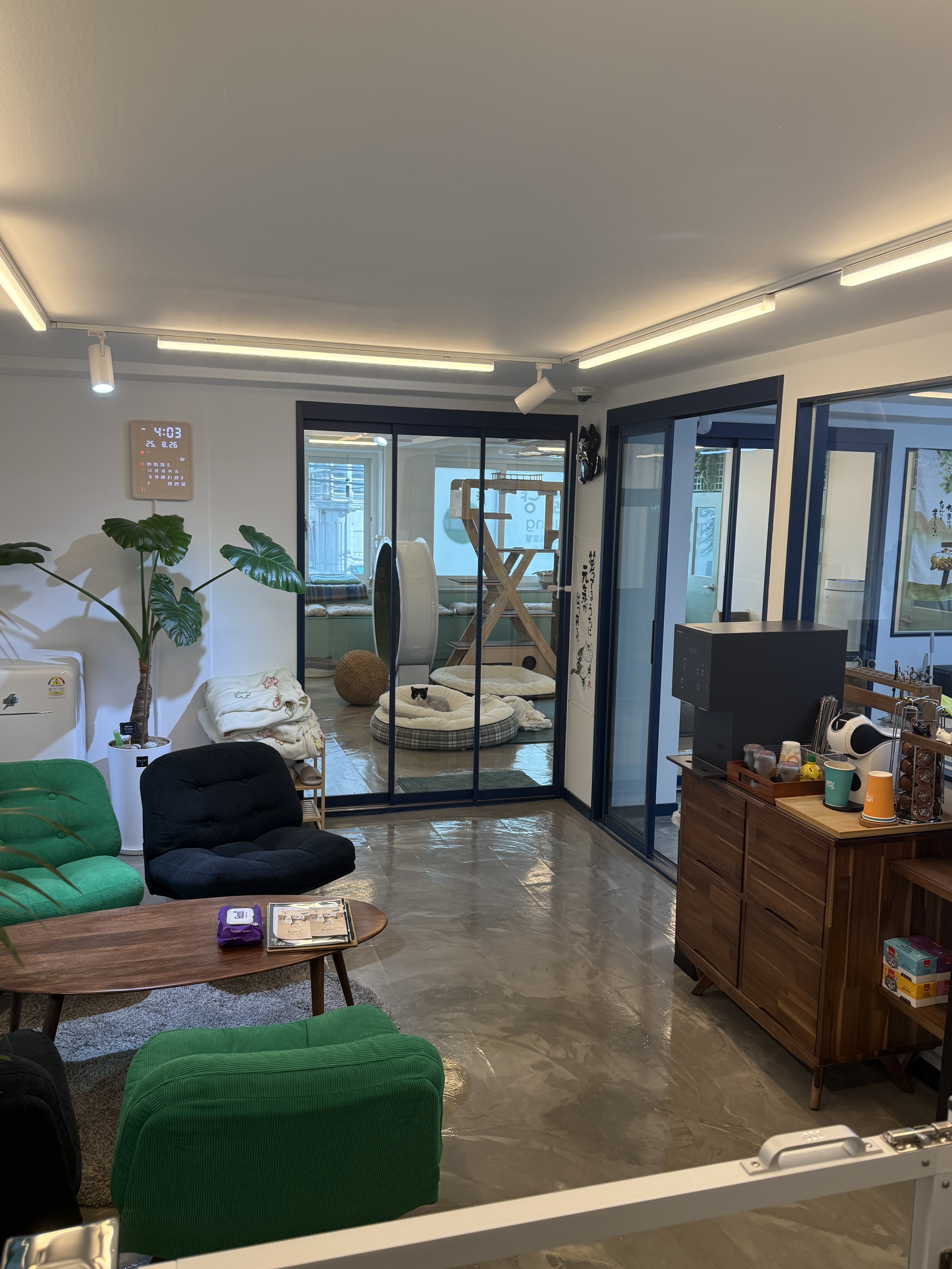 숲냥숲냥 대표 이미지