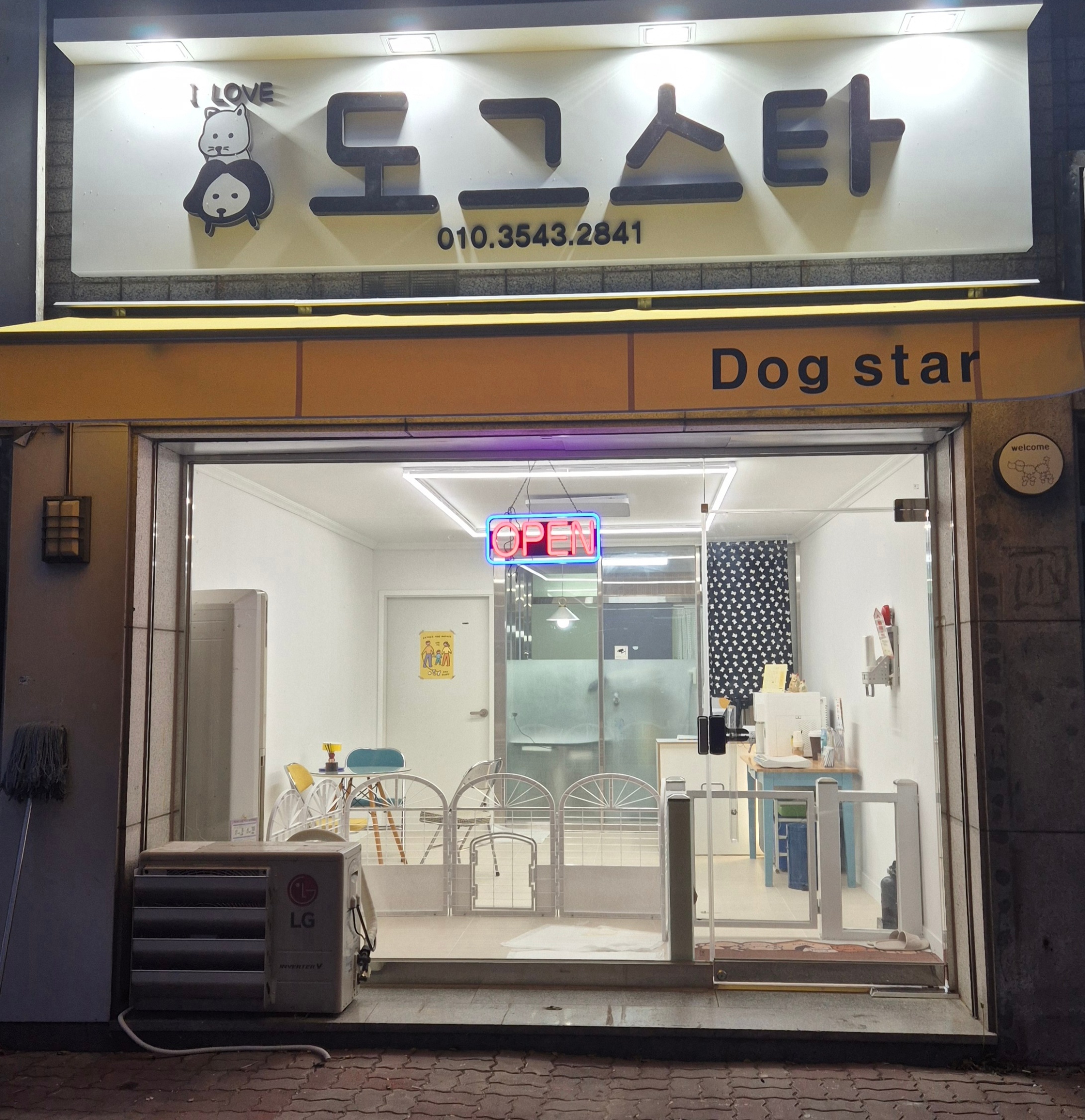 도그스타 대표 이미지