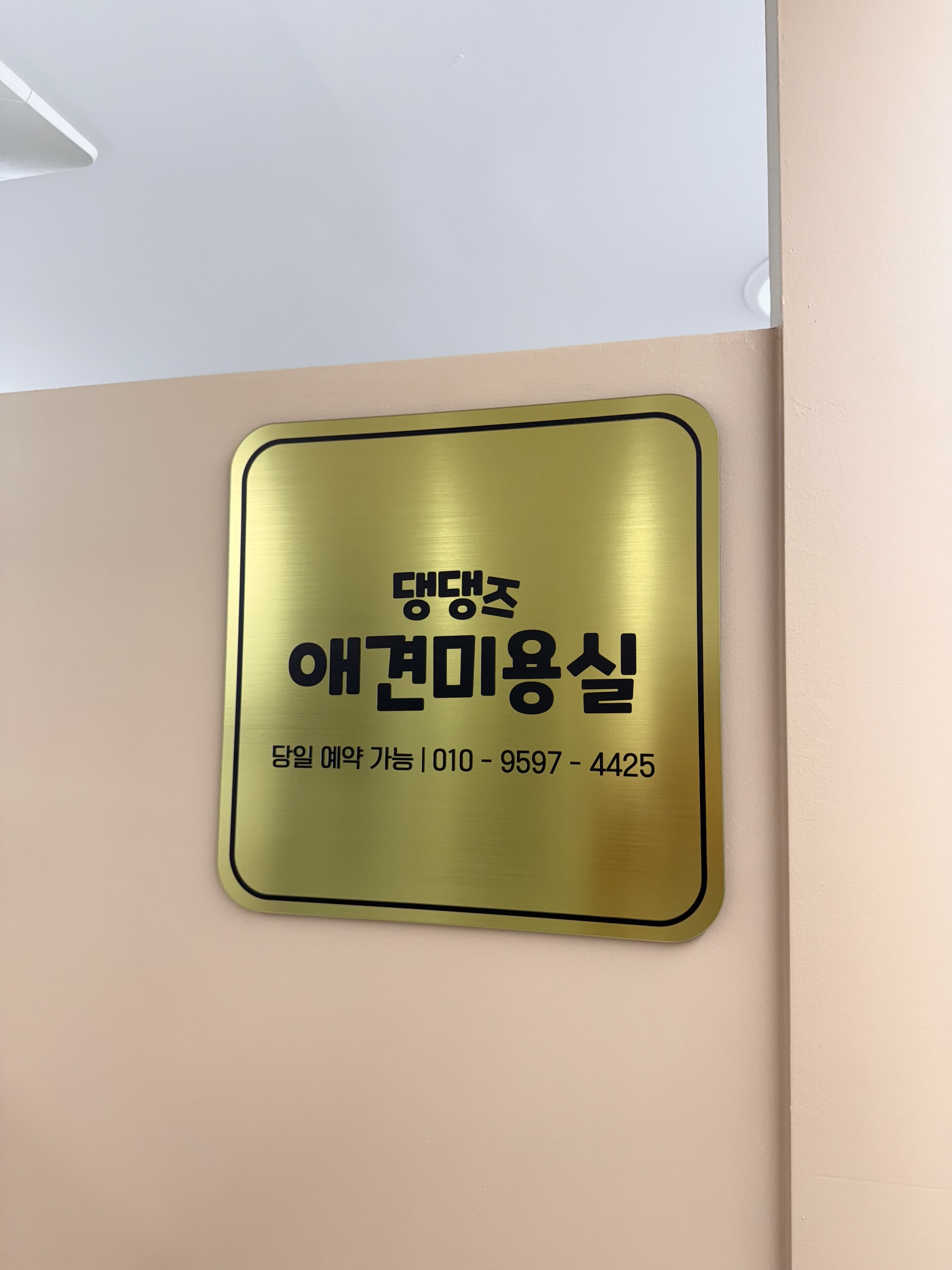 댕댕즈 애견미용실 대표 이미지