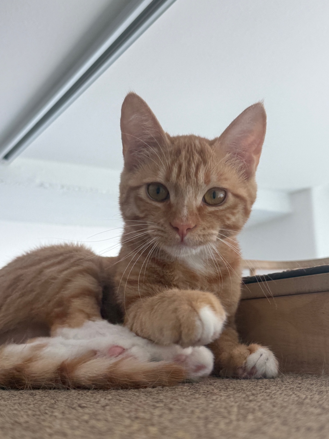 숲냥숲냥 대표 이미지