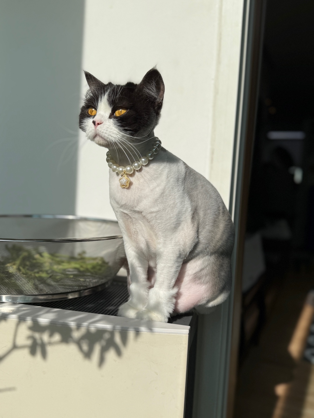 숲냥숲냥 대표 이미지