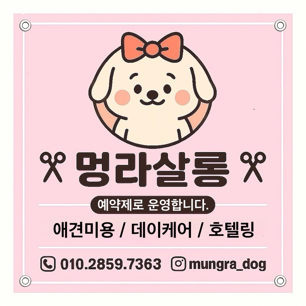멍라살롱 대표 이미지