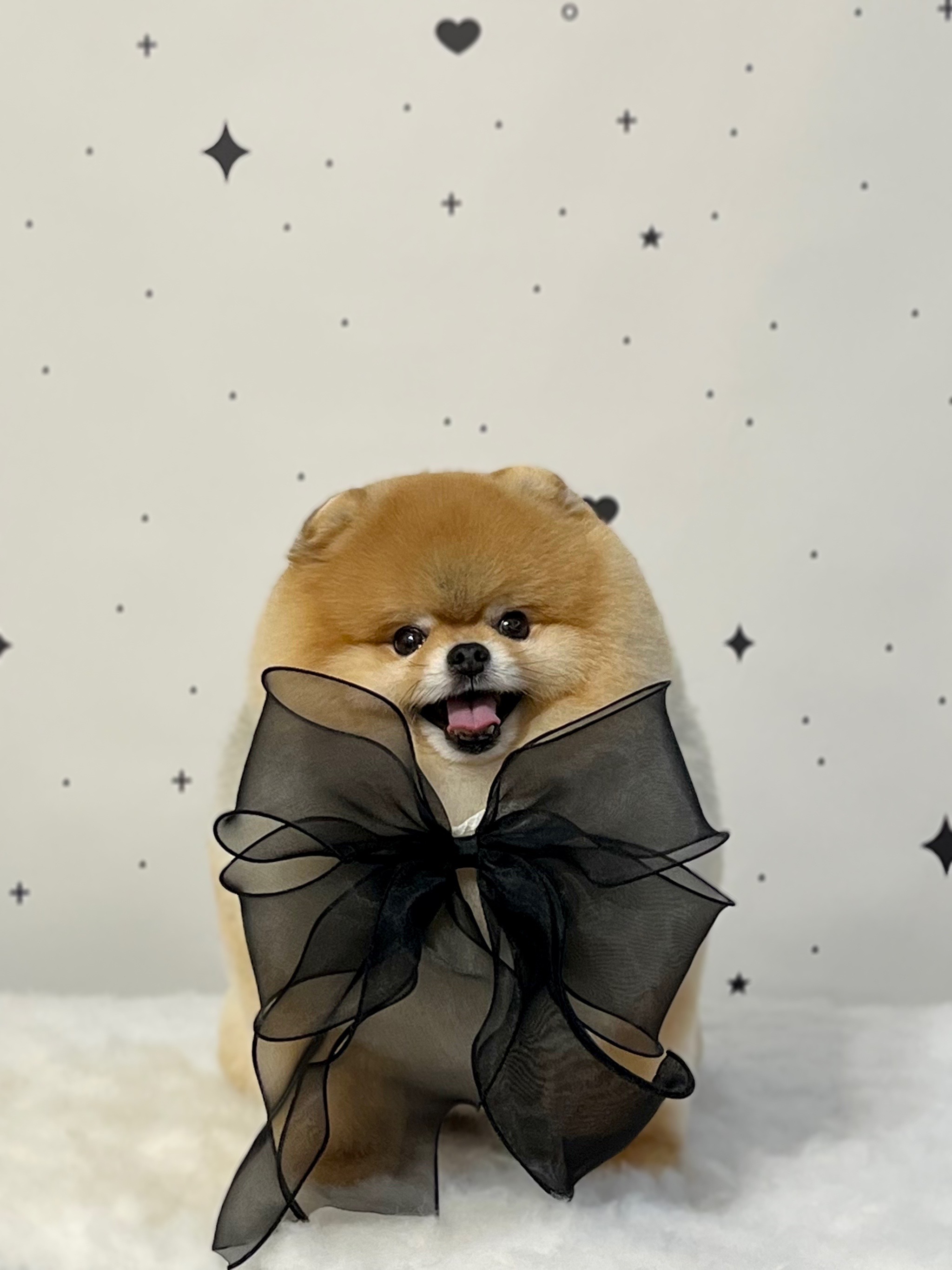송당송당 대표 이미지