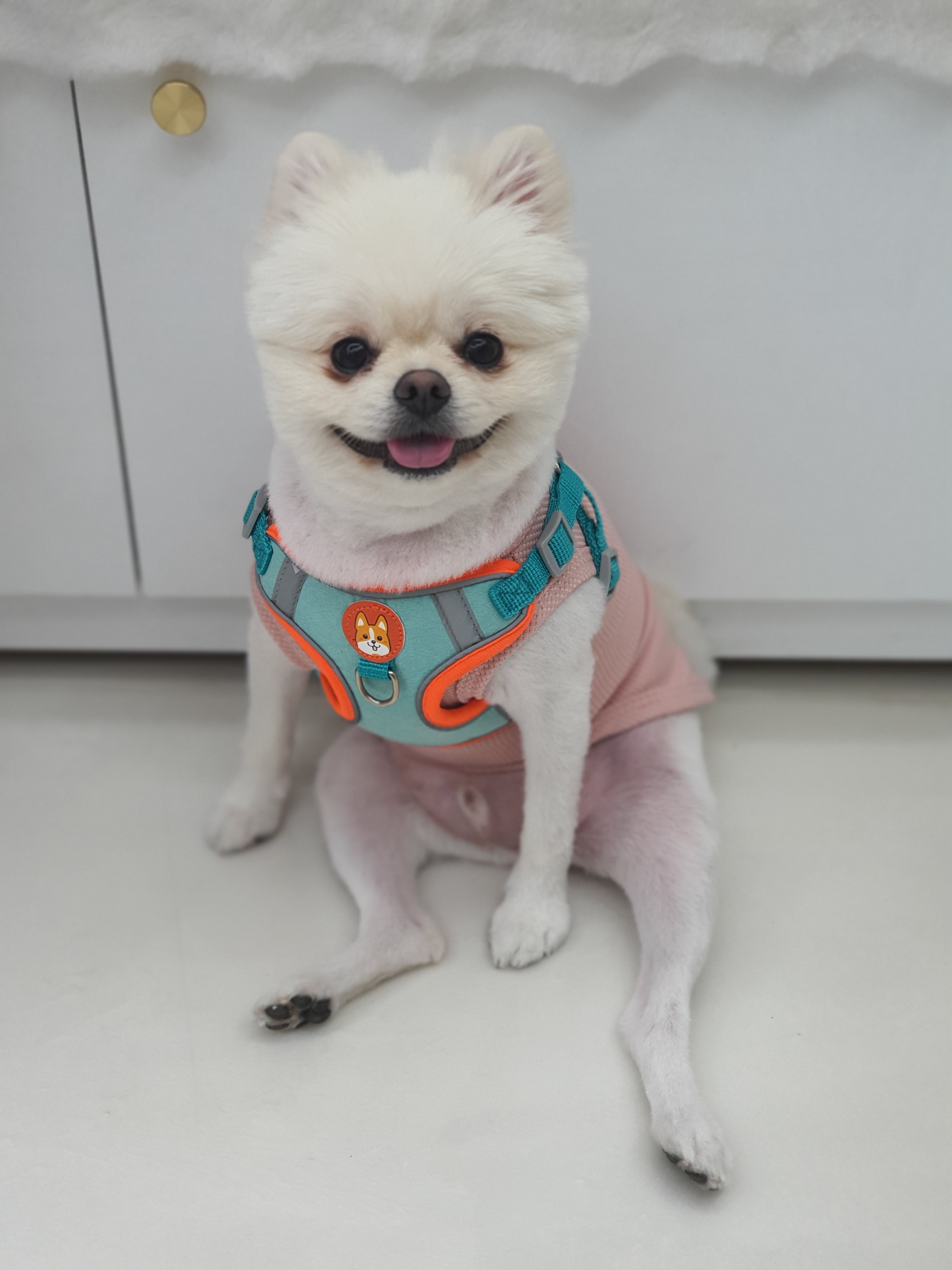 몽베르 대표 이미지