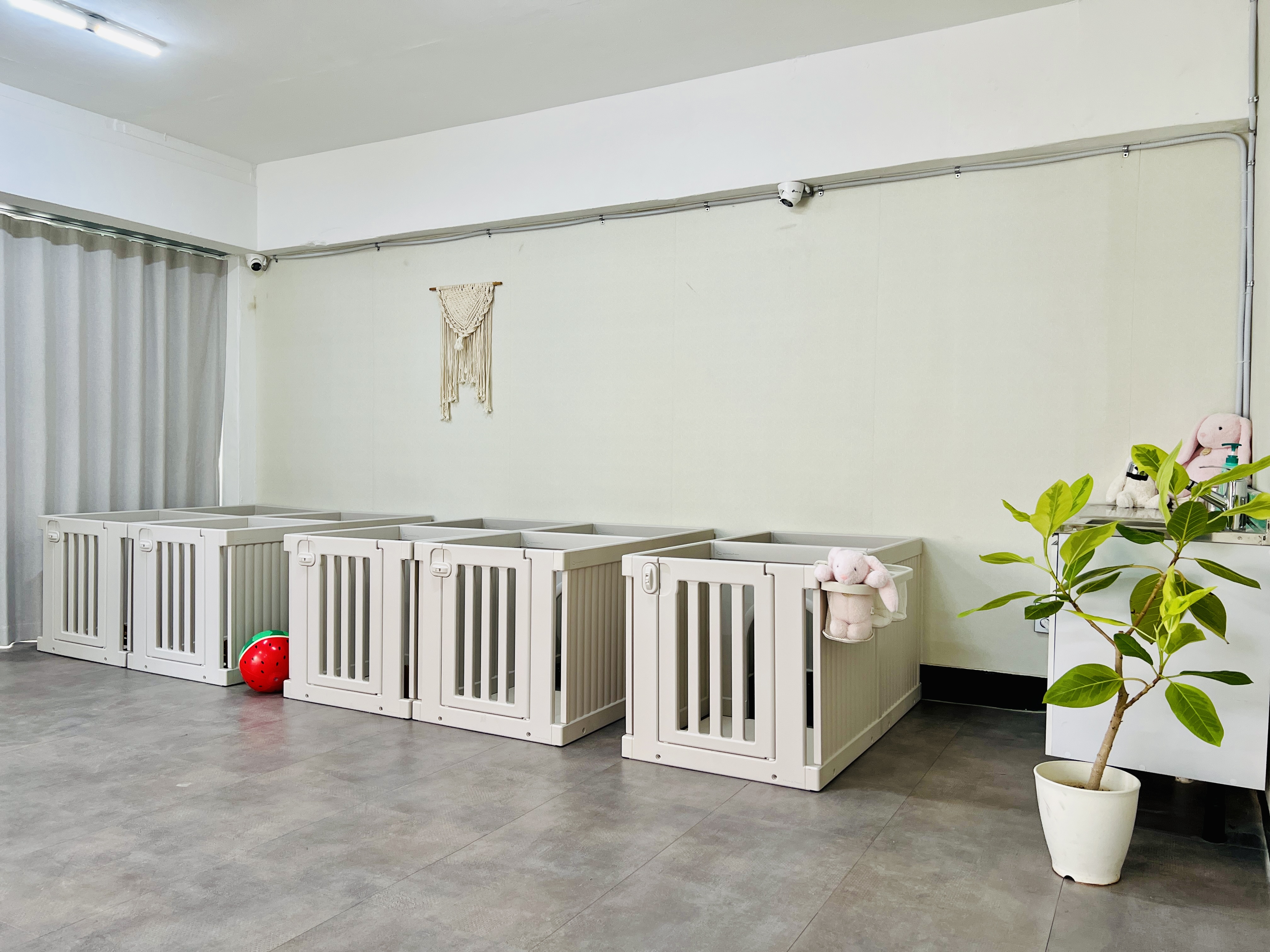 코리 스테이 대표 이미지