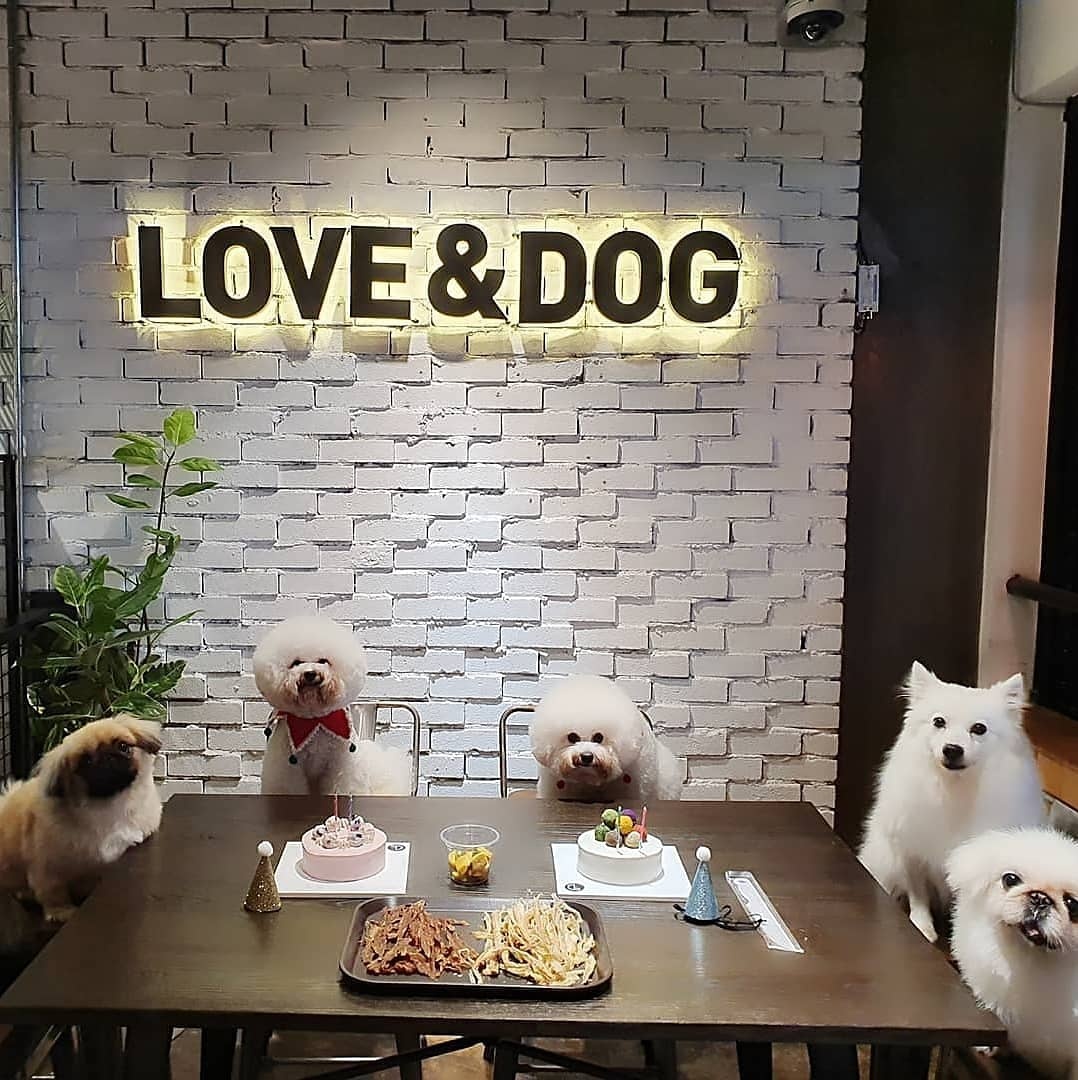 사진 3