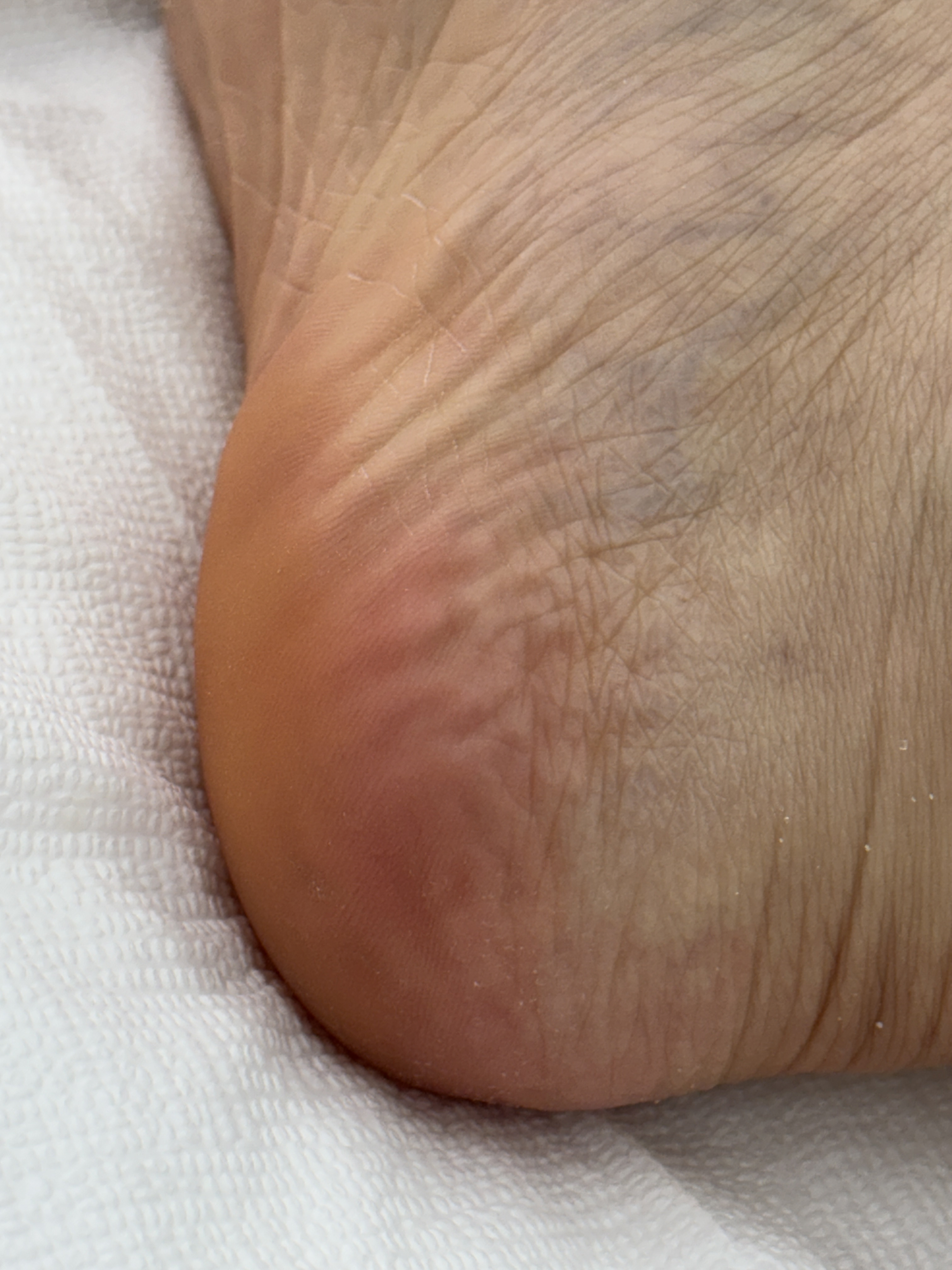 레푸스 진주대안점 대표 이미지