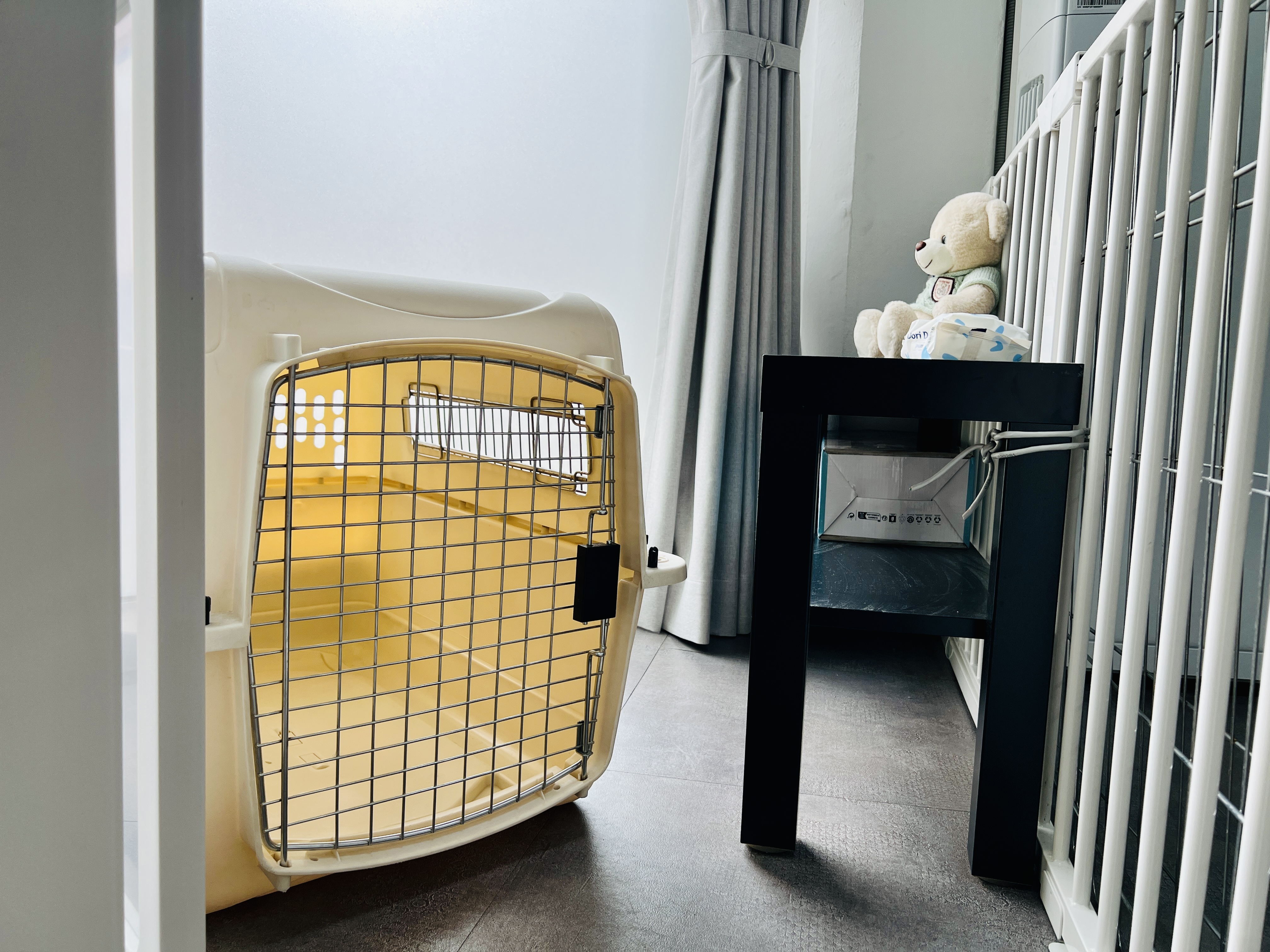 코리 스테이 대표 이미지