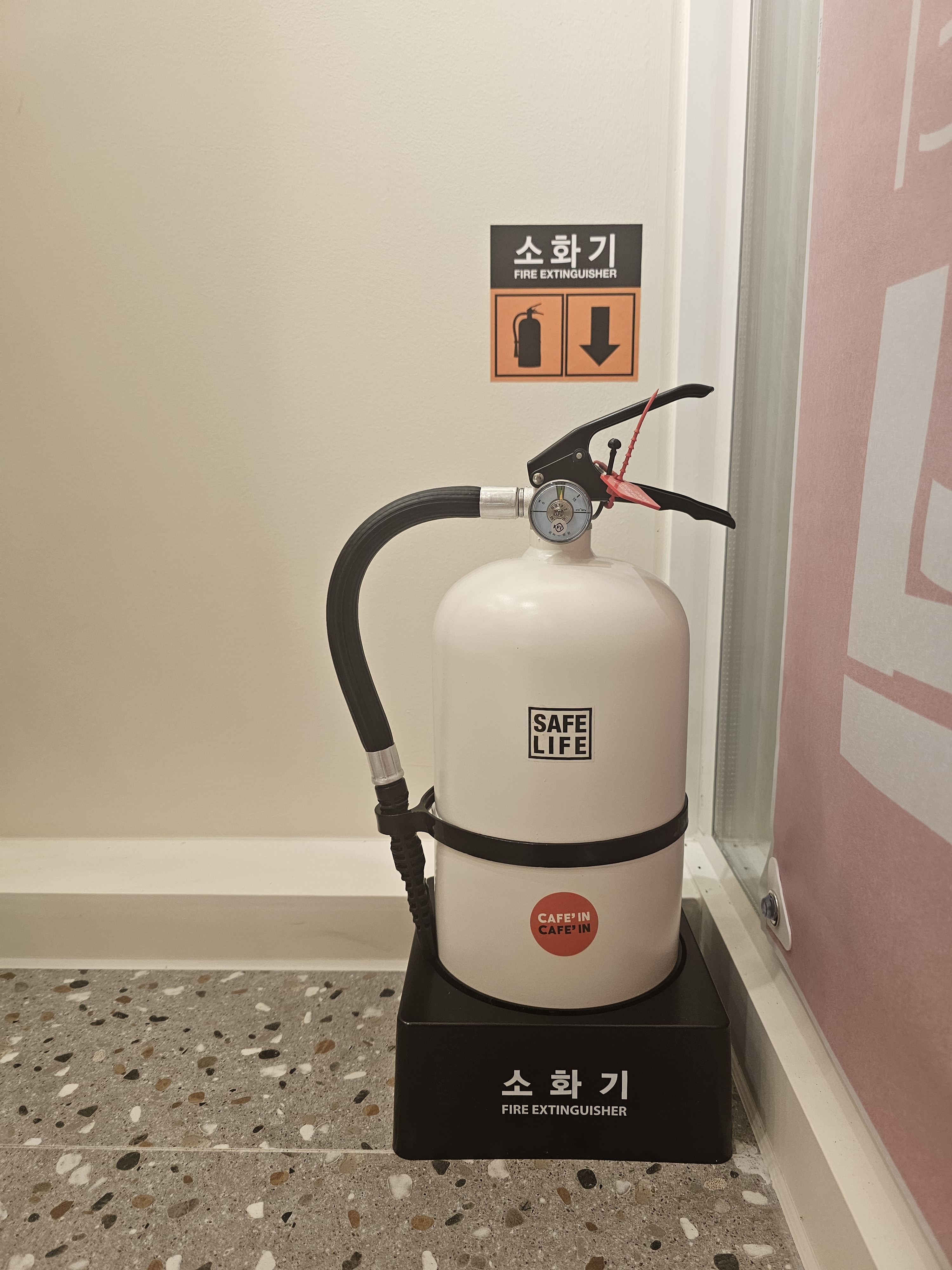 업체사진