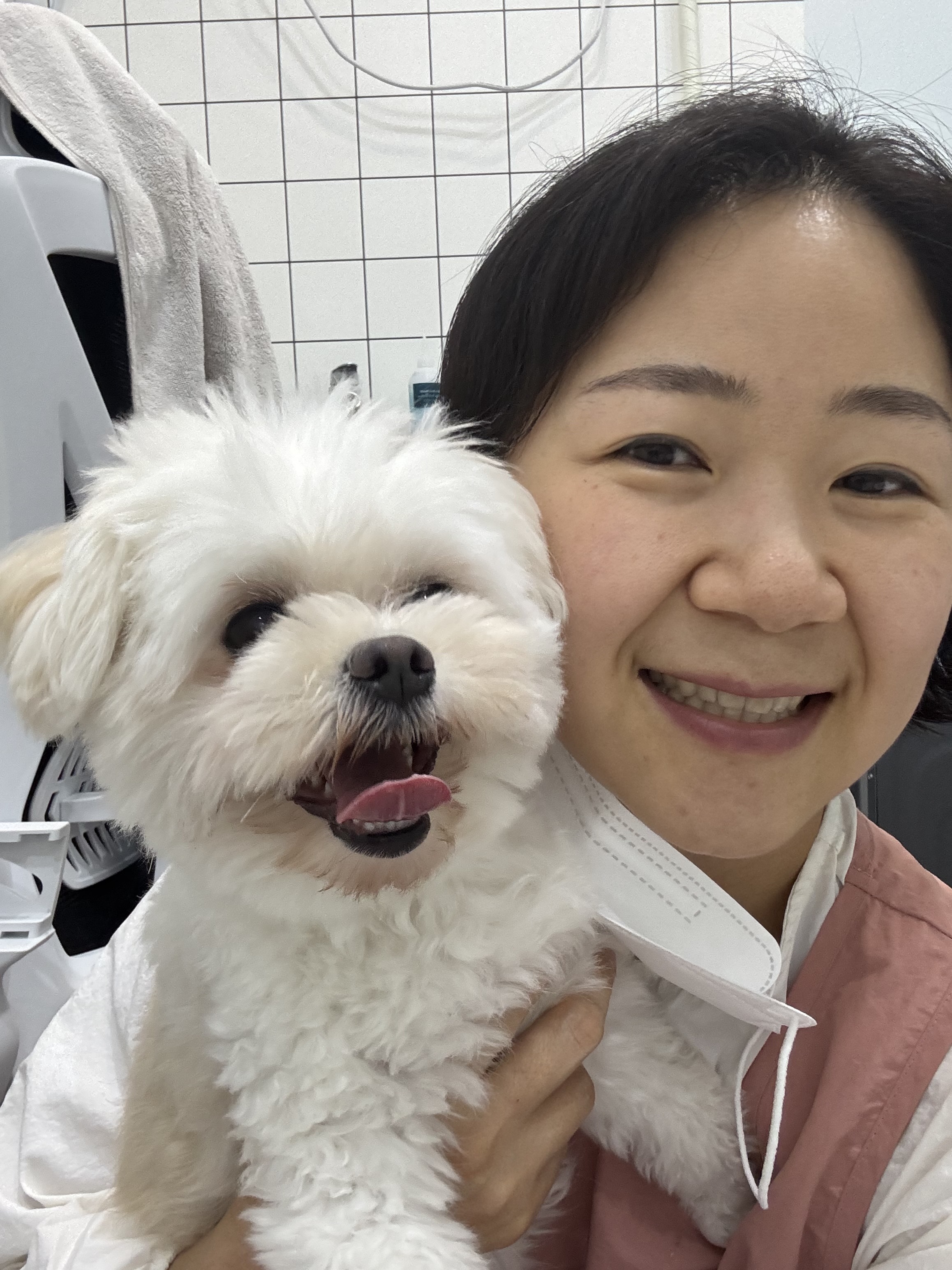 솜솜 애견미용 대표 이미지