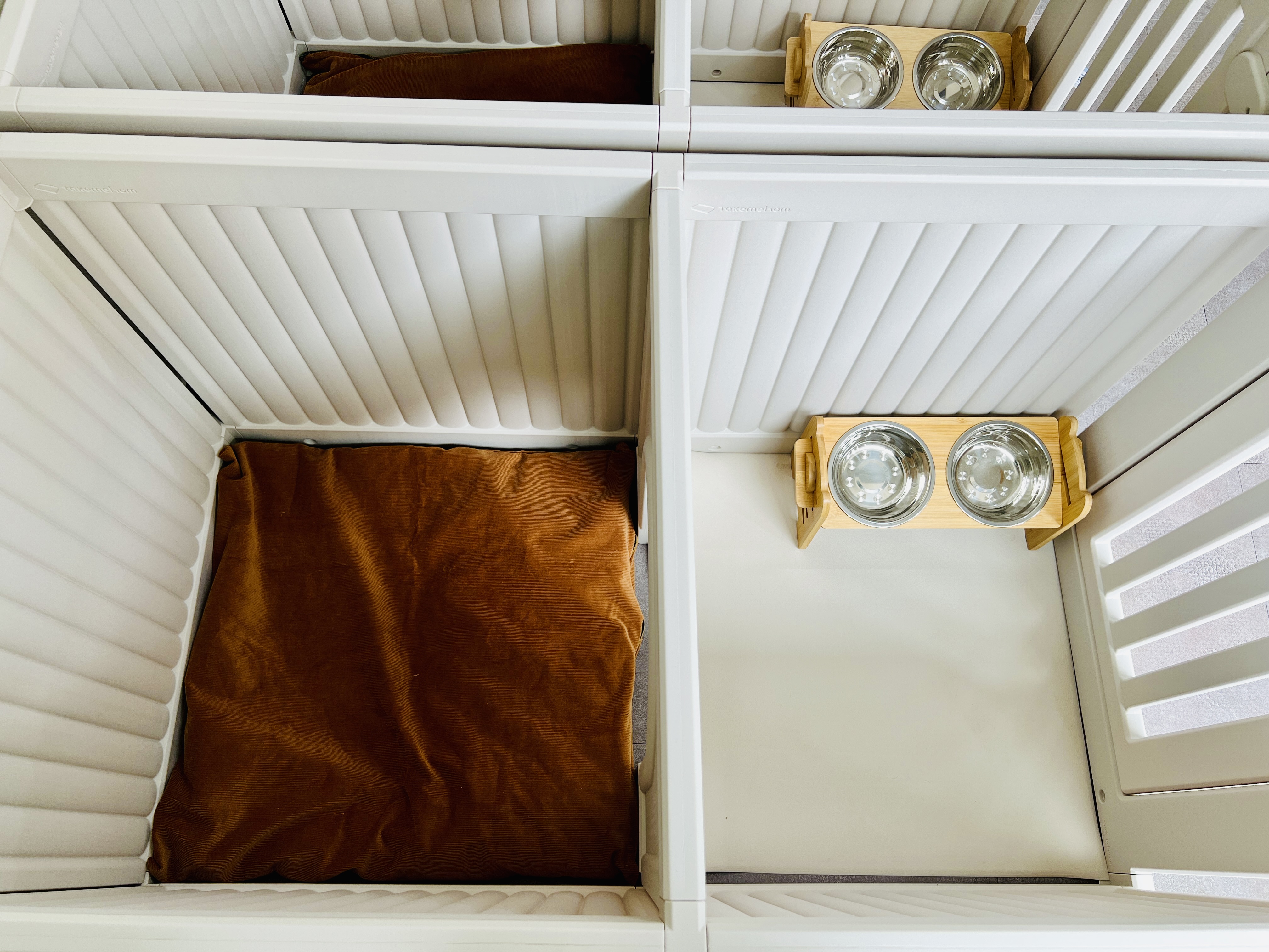 코리 스테이 대표 이미지