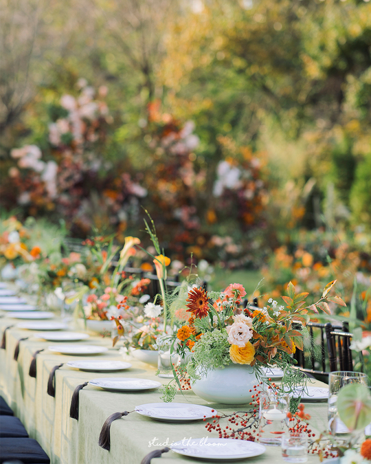 아연당 대표 이미지
