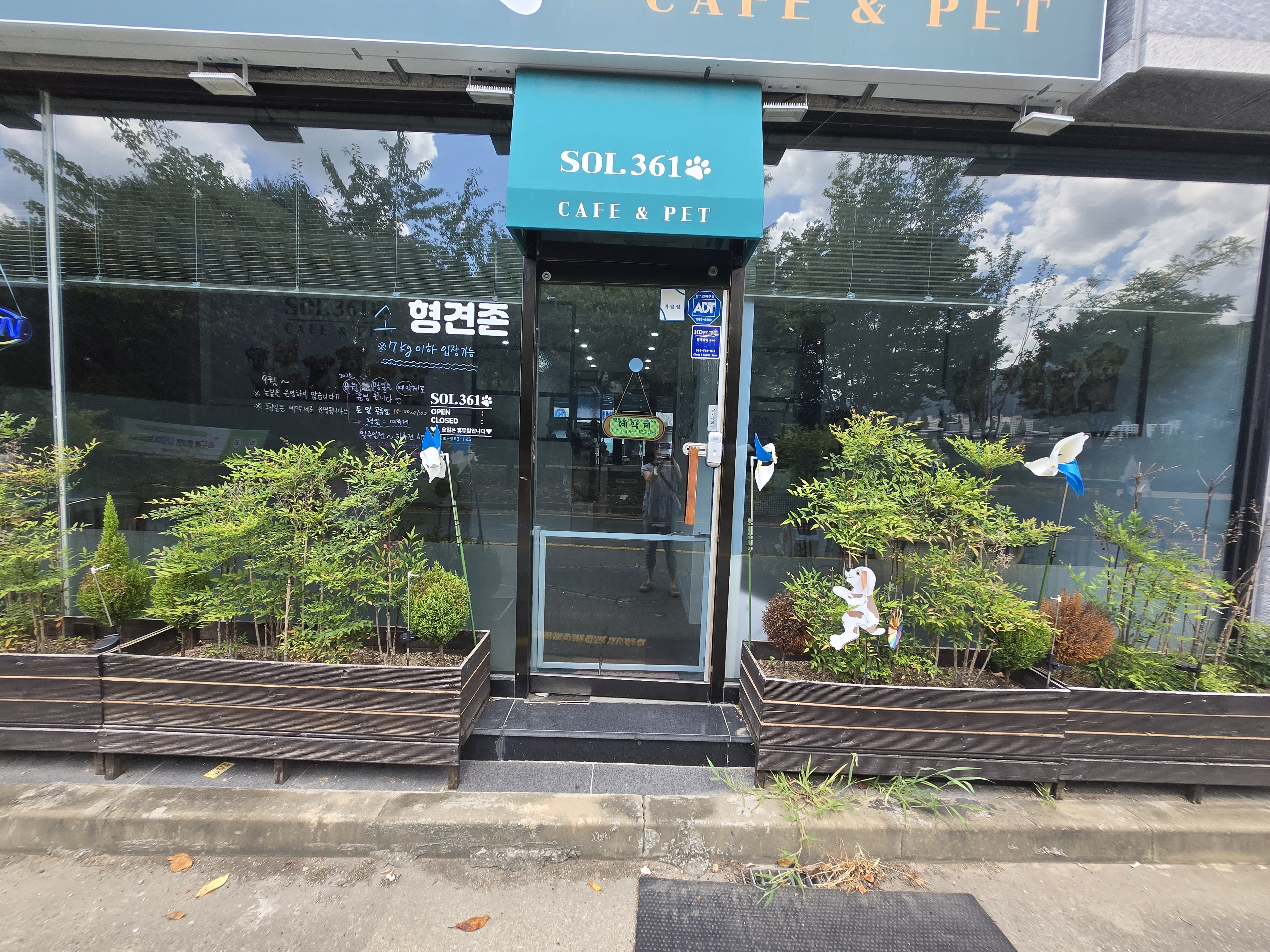 솔361 카페 대표 이미지