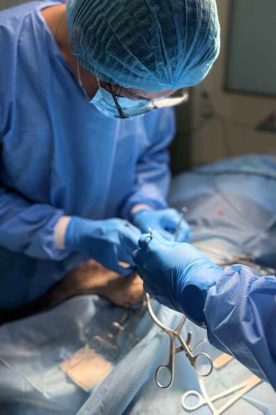 부천이지동물의료센터 대표 이미지