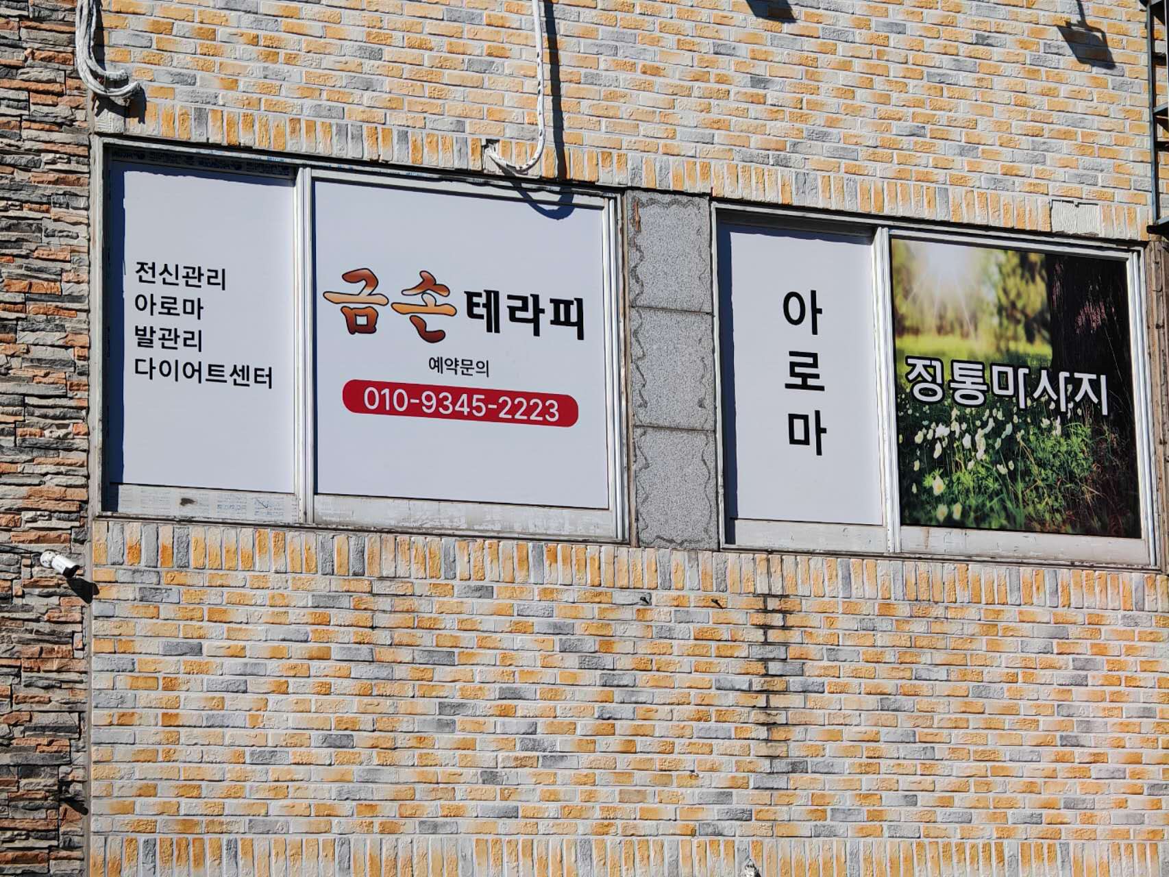 금손 photo 3