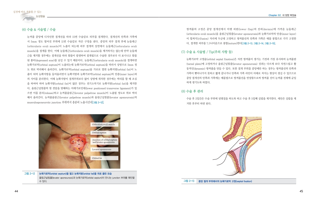 에이치성형외과의원 대표 이미지