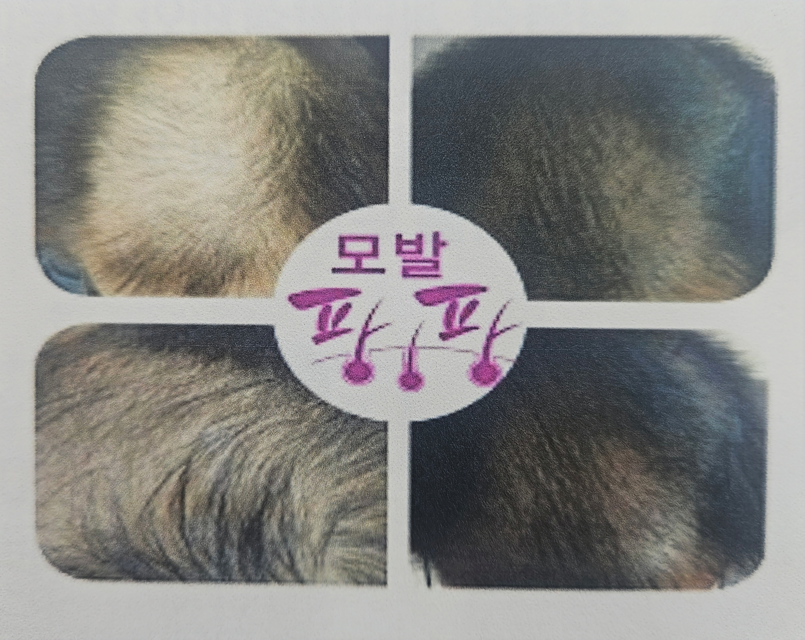 큐사랑 금곡점 대표 이미지