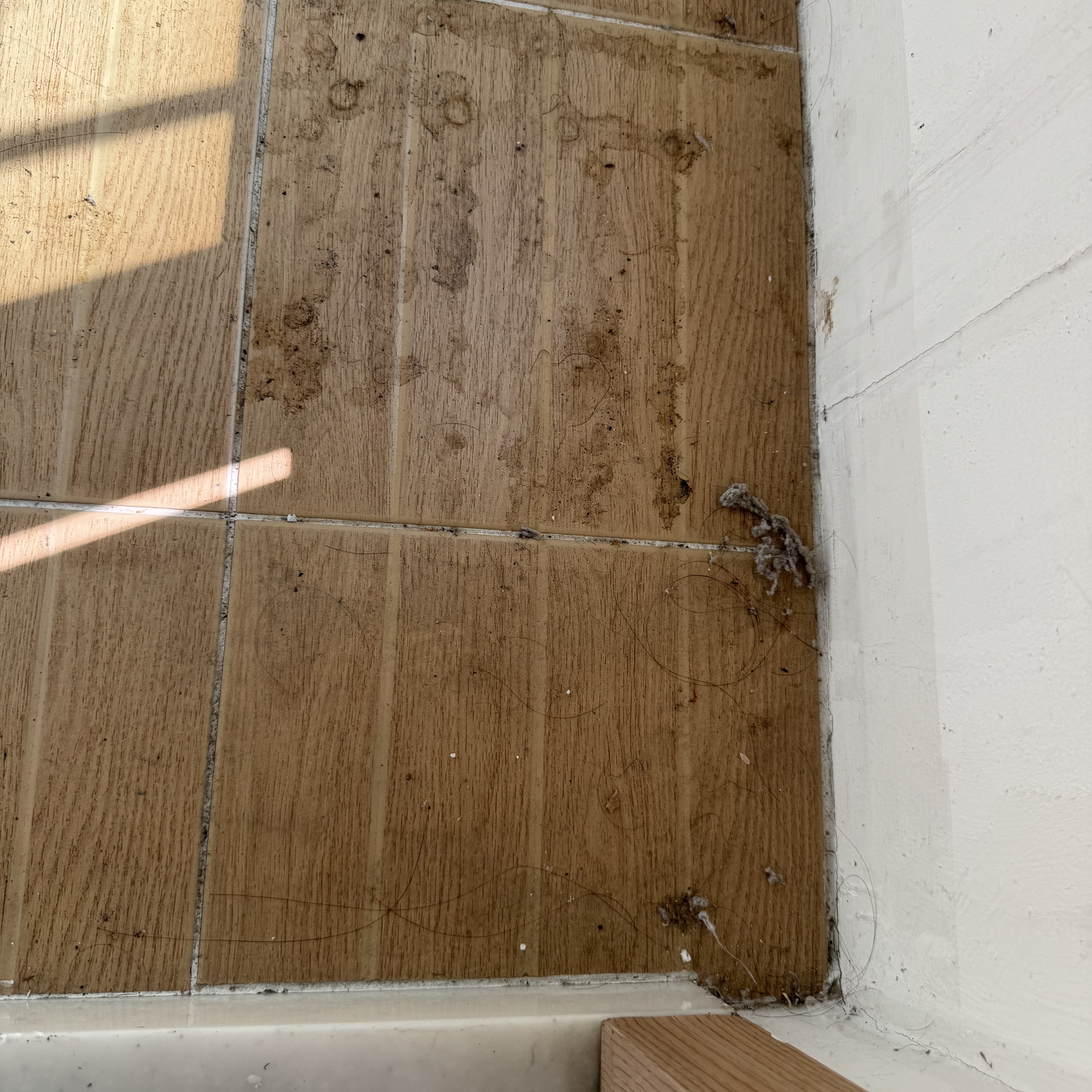 클린마인드 대표 이미지