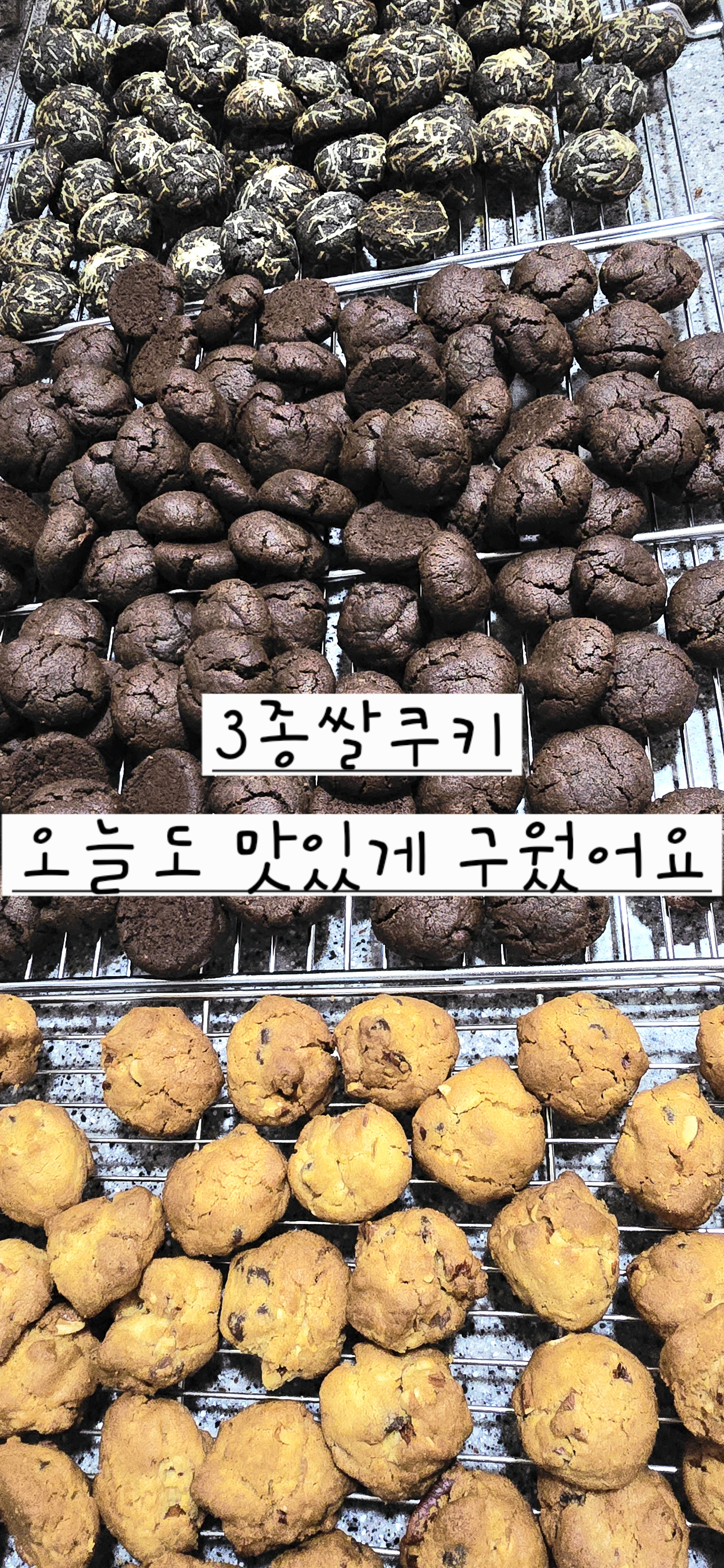도란도란 카페 5