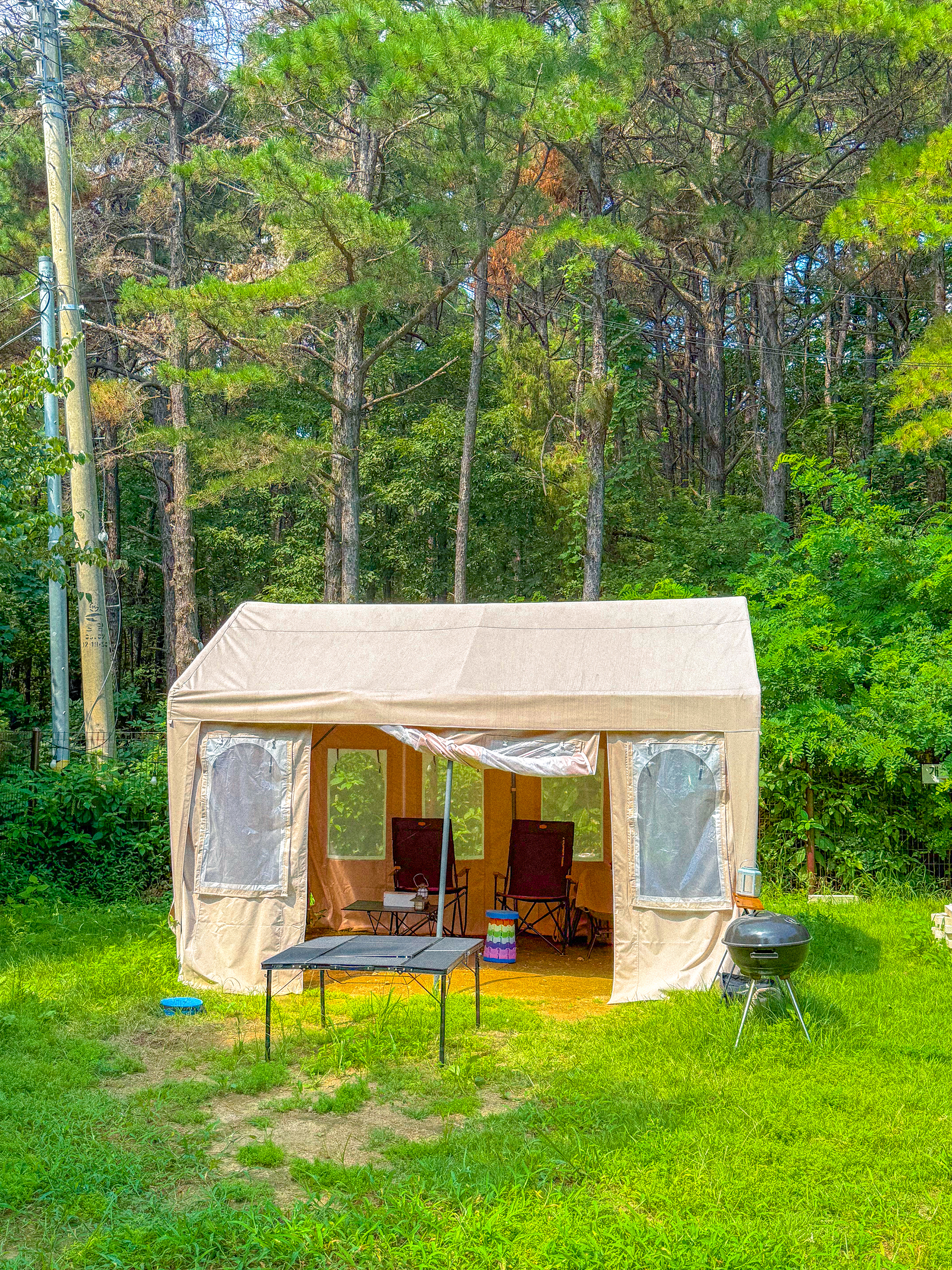 테일45 대표 이미지