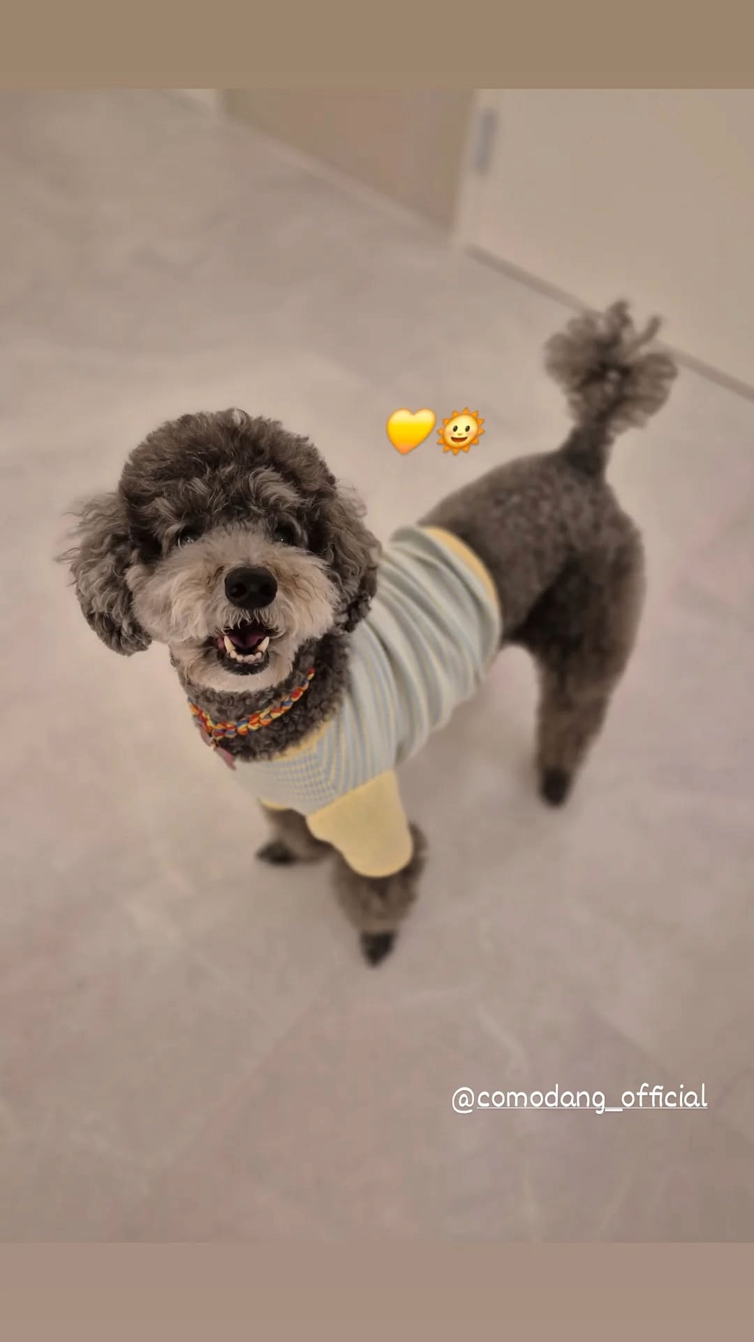 꼬모댕프라이빗애견호텔 대표 이미지
