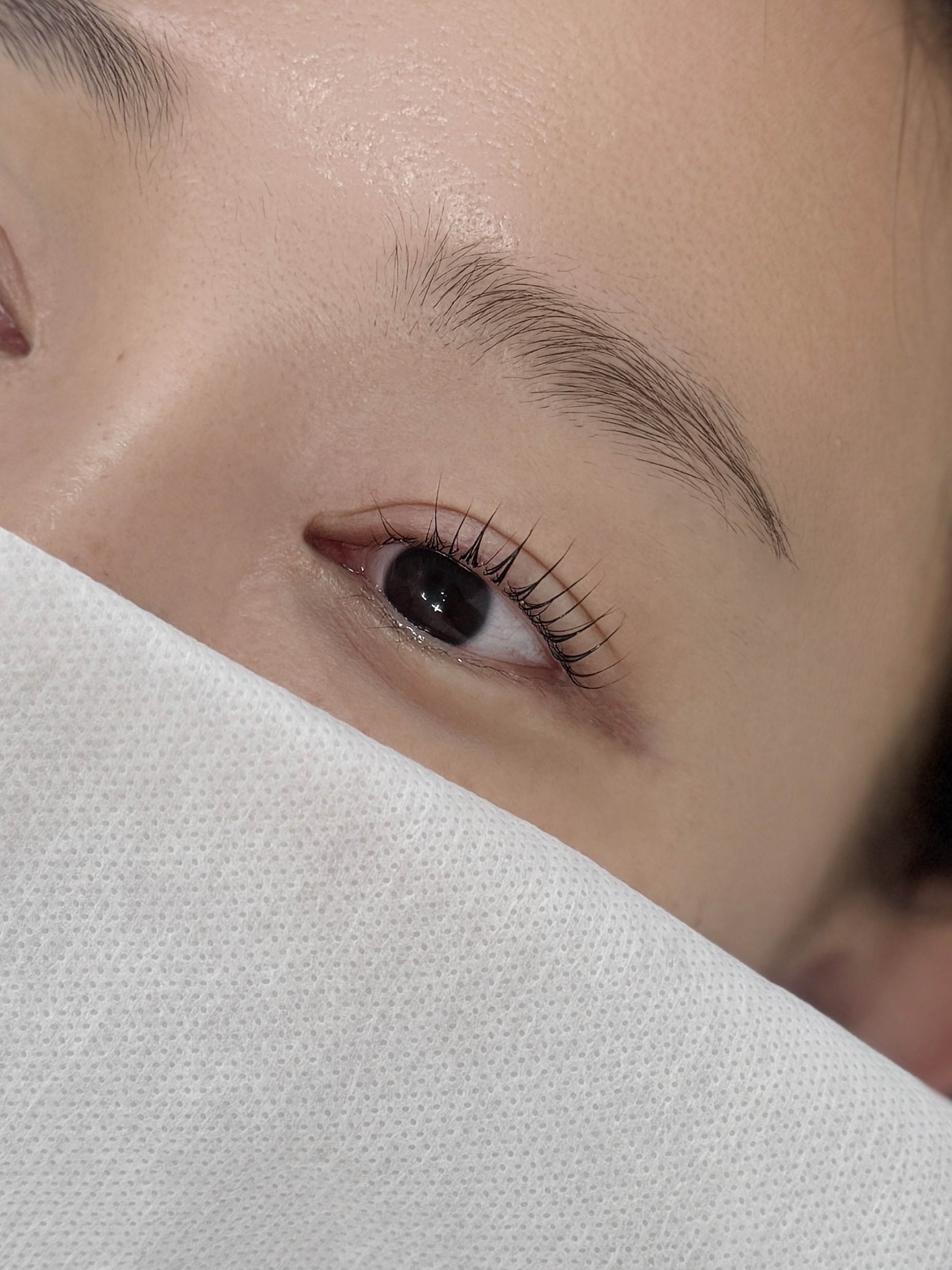 닷핏 대표 이미지