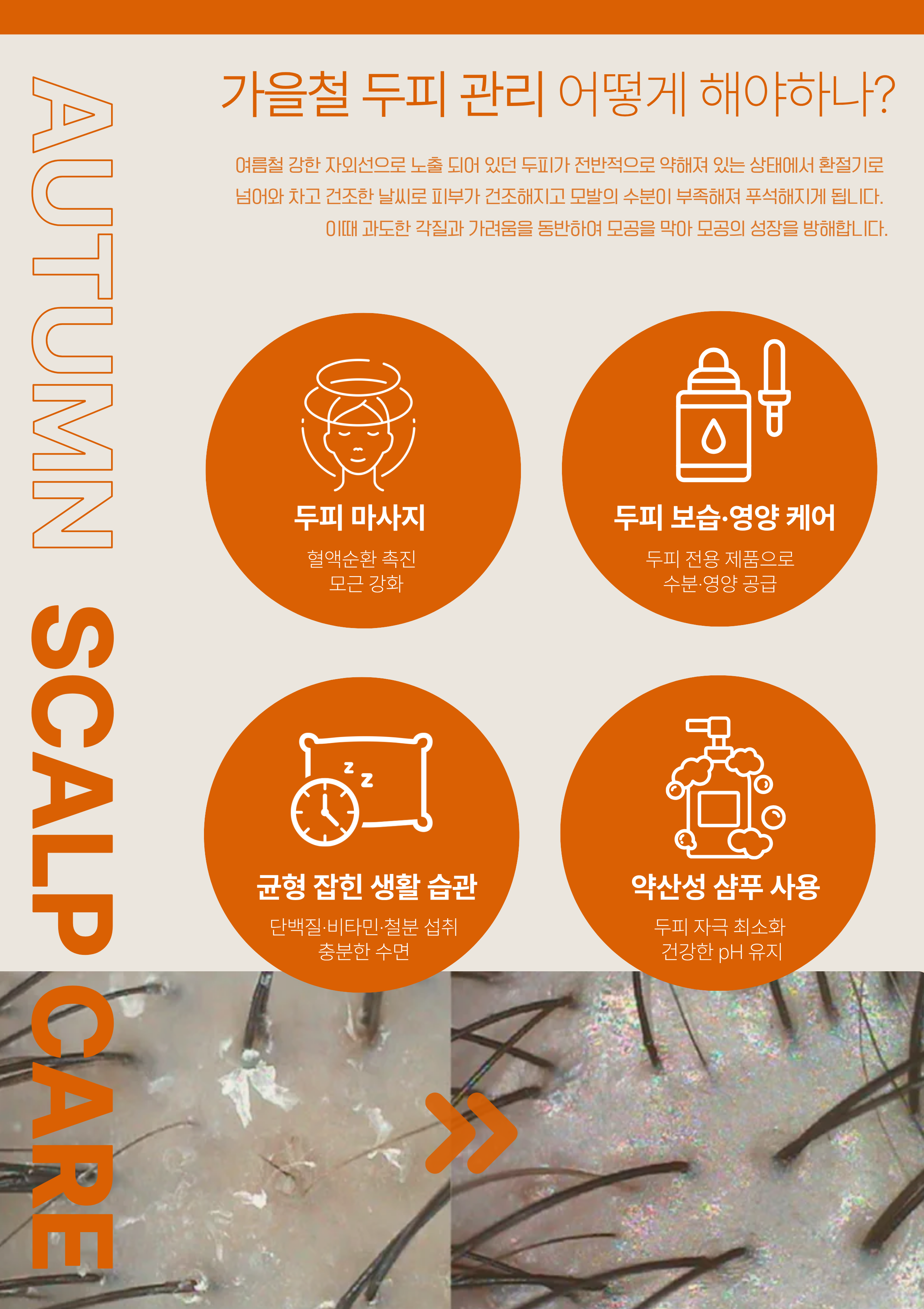 닥터모락 여의도점 대표 이미지