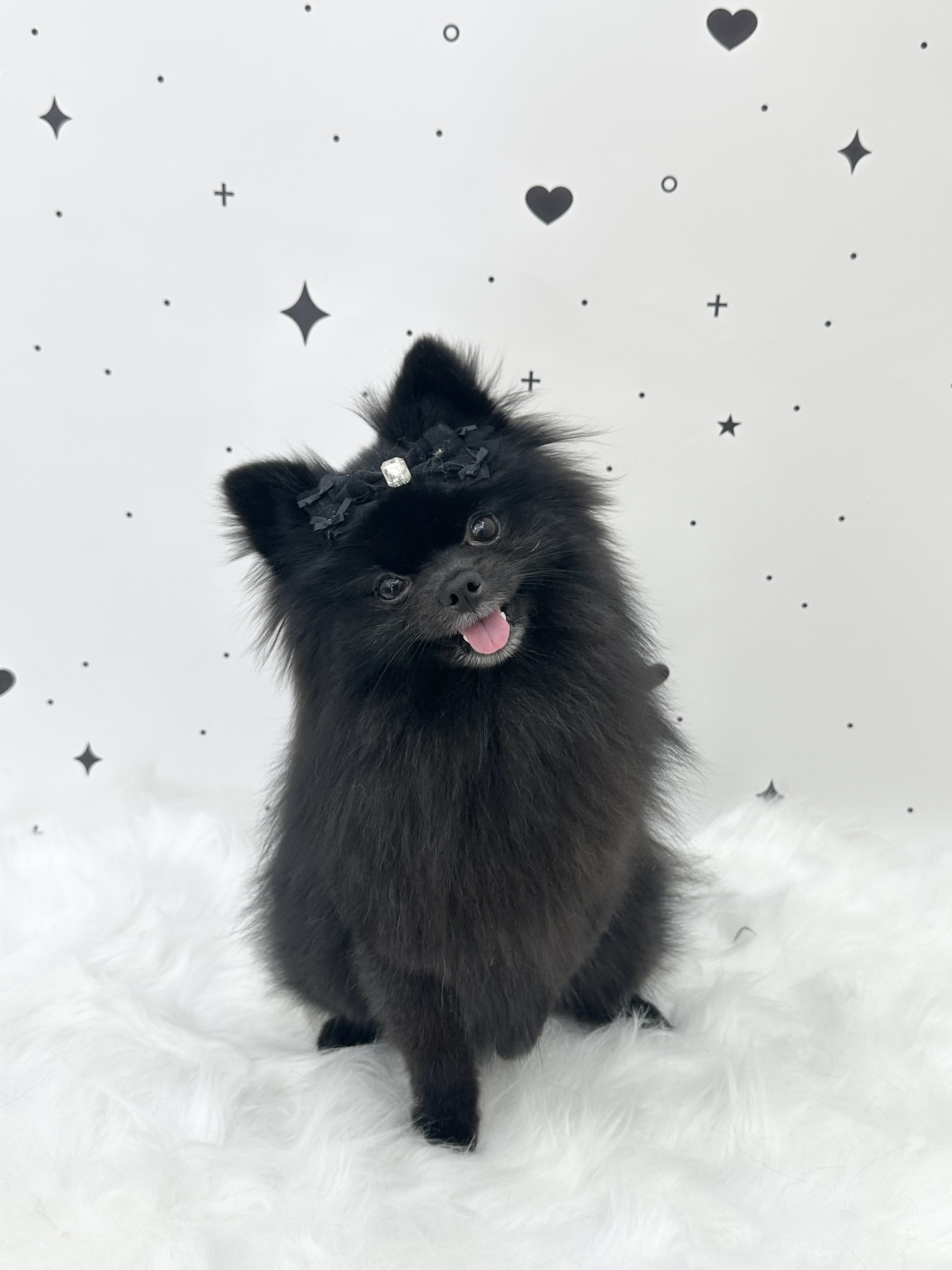 산책가자멍 대표 이미지