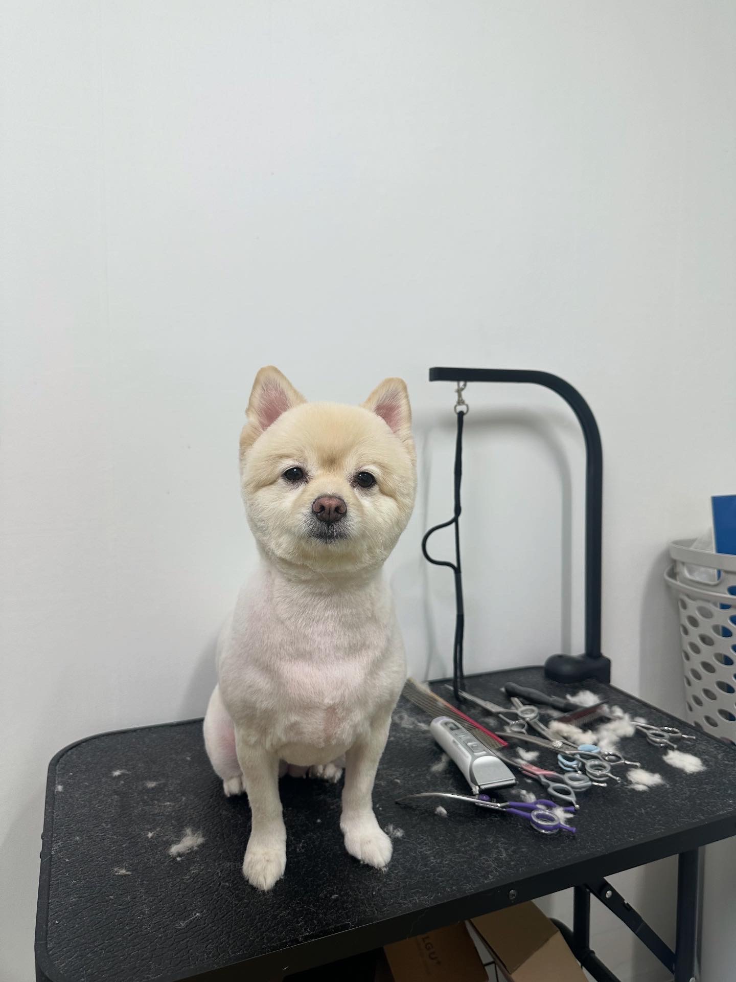 멍라살롱 대표 이미지