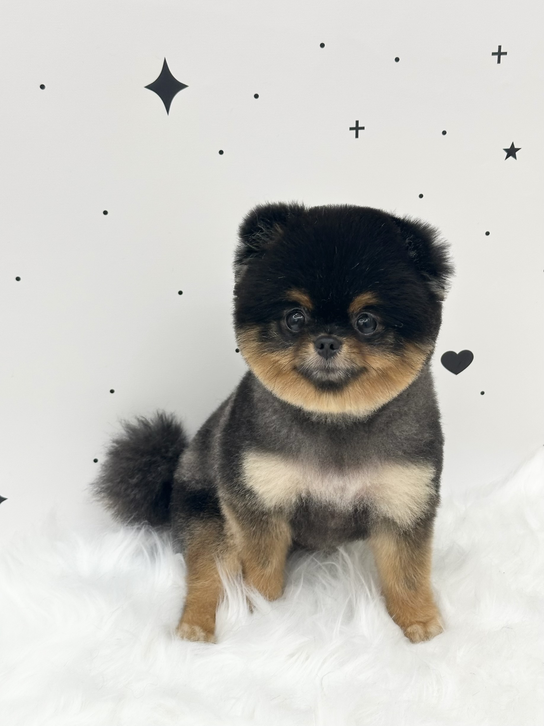 산책가자멍 대표 이미지