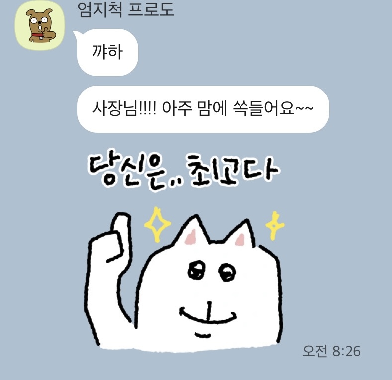 닷핏 내부 이미지