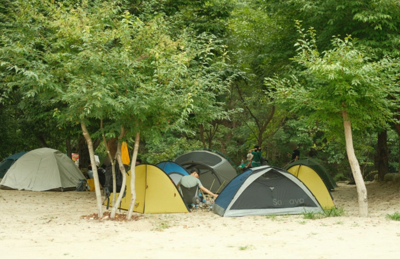 사진 3