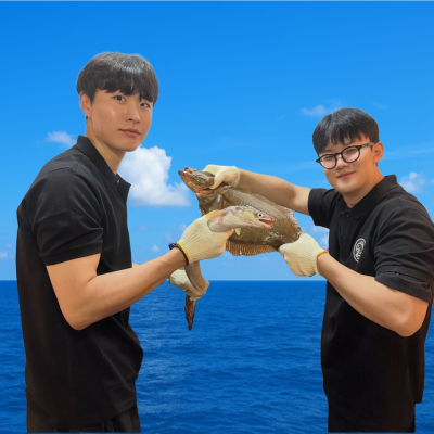 싱싱이횟집