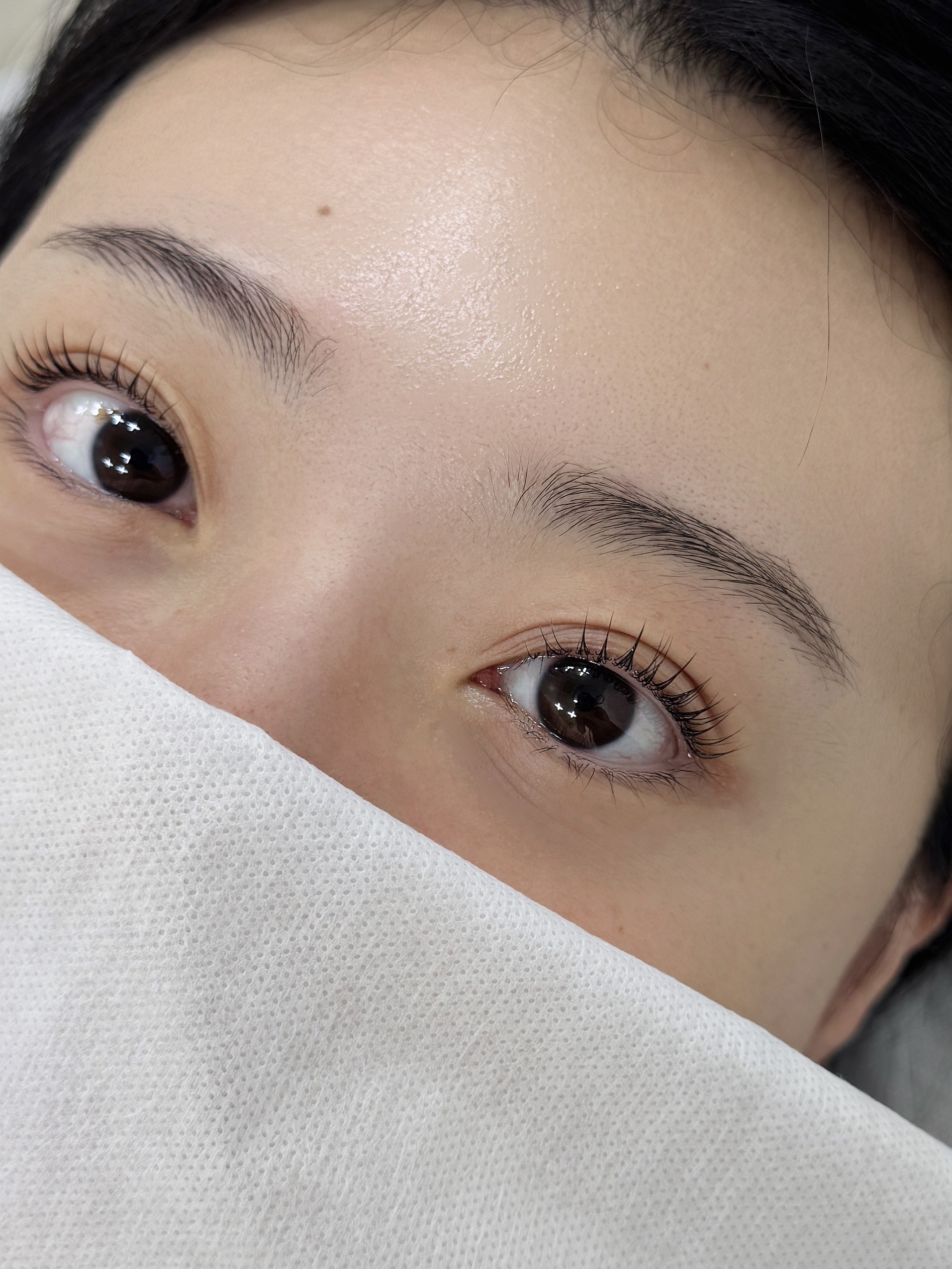 닷핏 대표 이미지